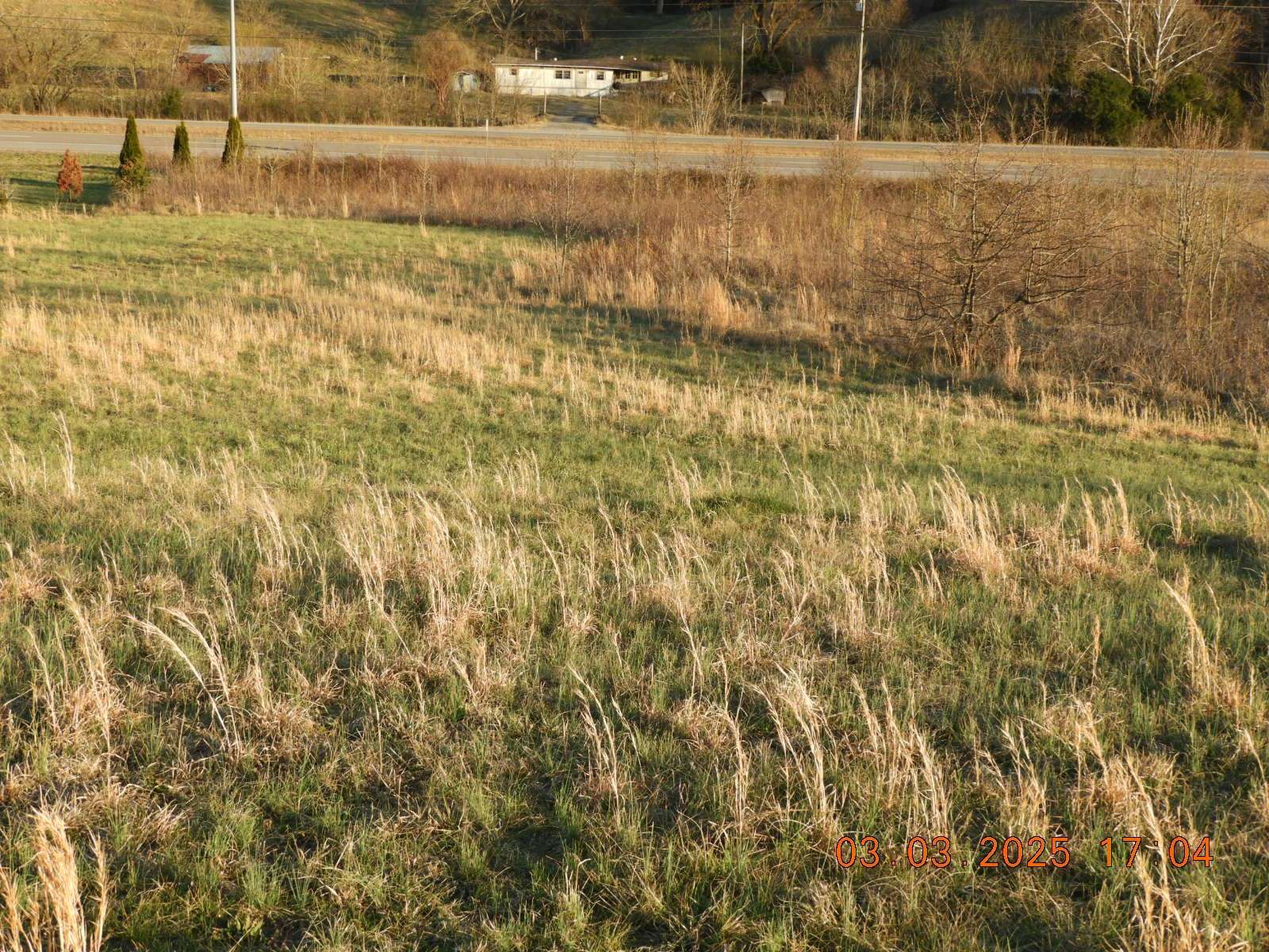 0 Pulaski Hwy, Frankewing, TN 38459