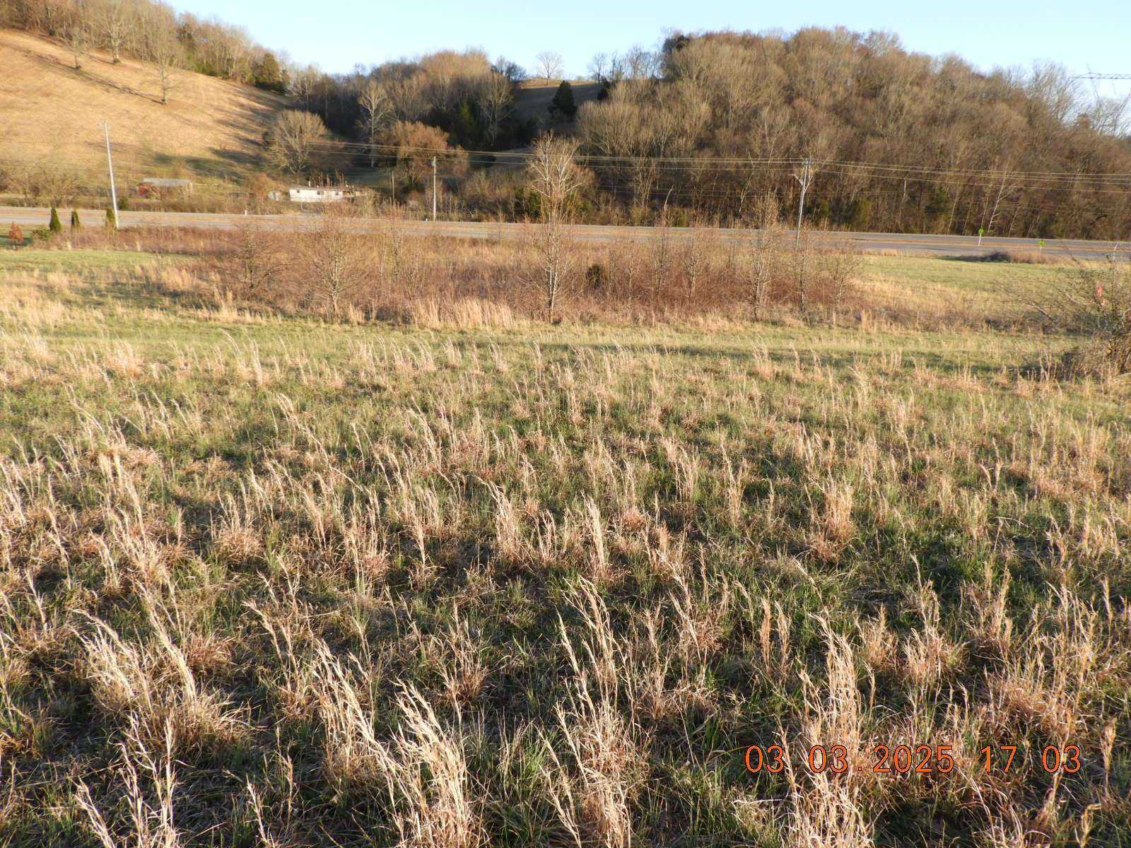 0 Pulaski Hwy, Frankewing, TN 38459