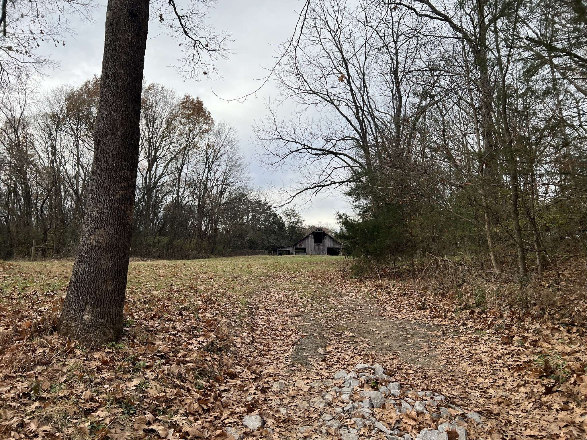 2 Pyles Rd, Chapel Hill, TN 37034