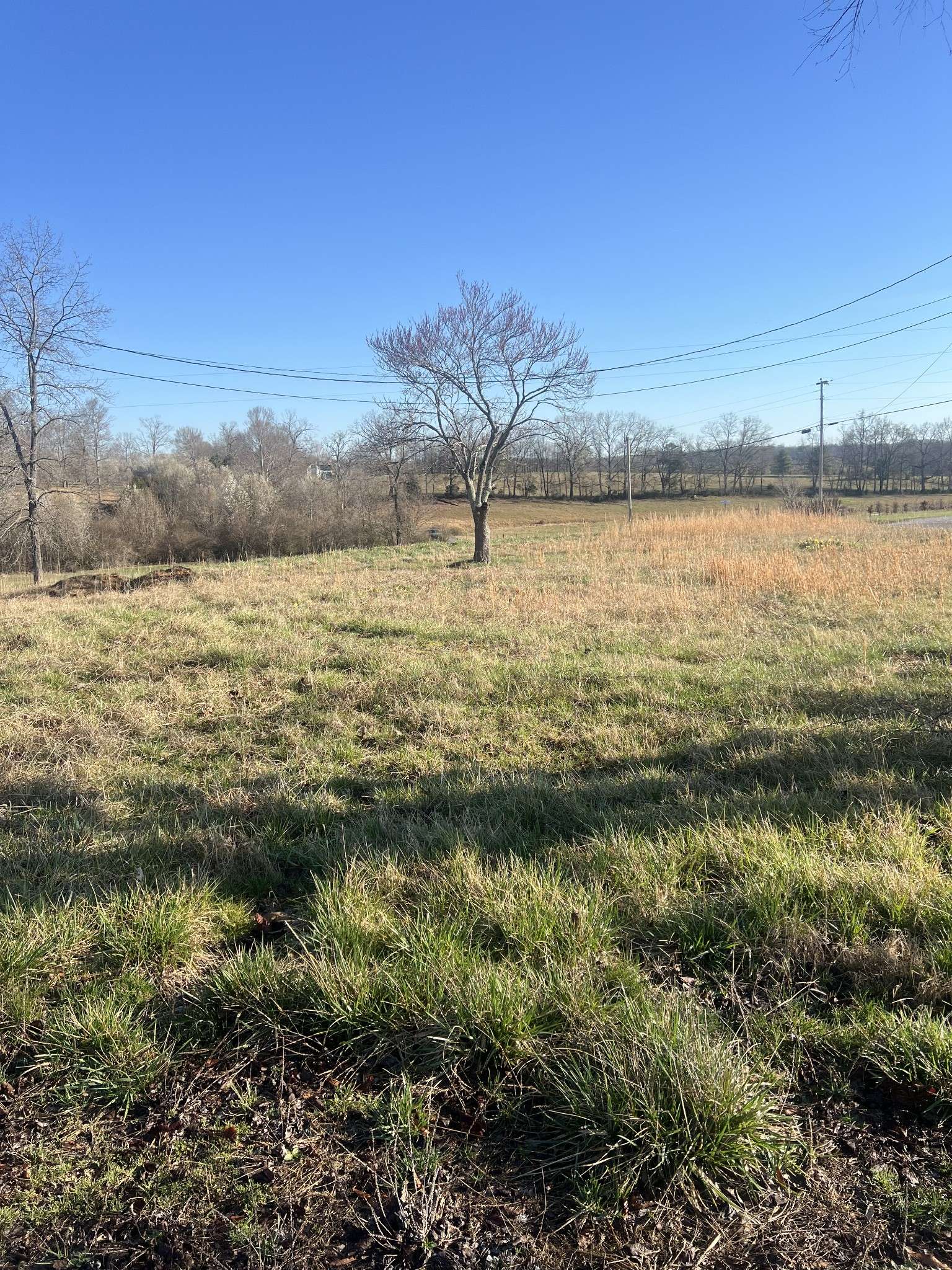 2439 Bethany Rd, Mc Minnville, TN 37110