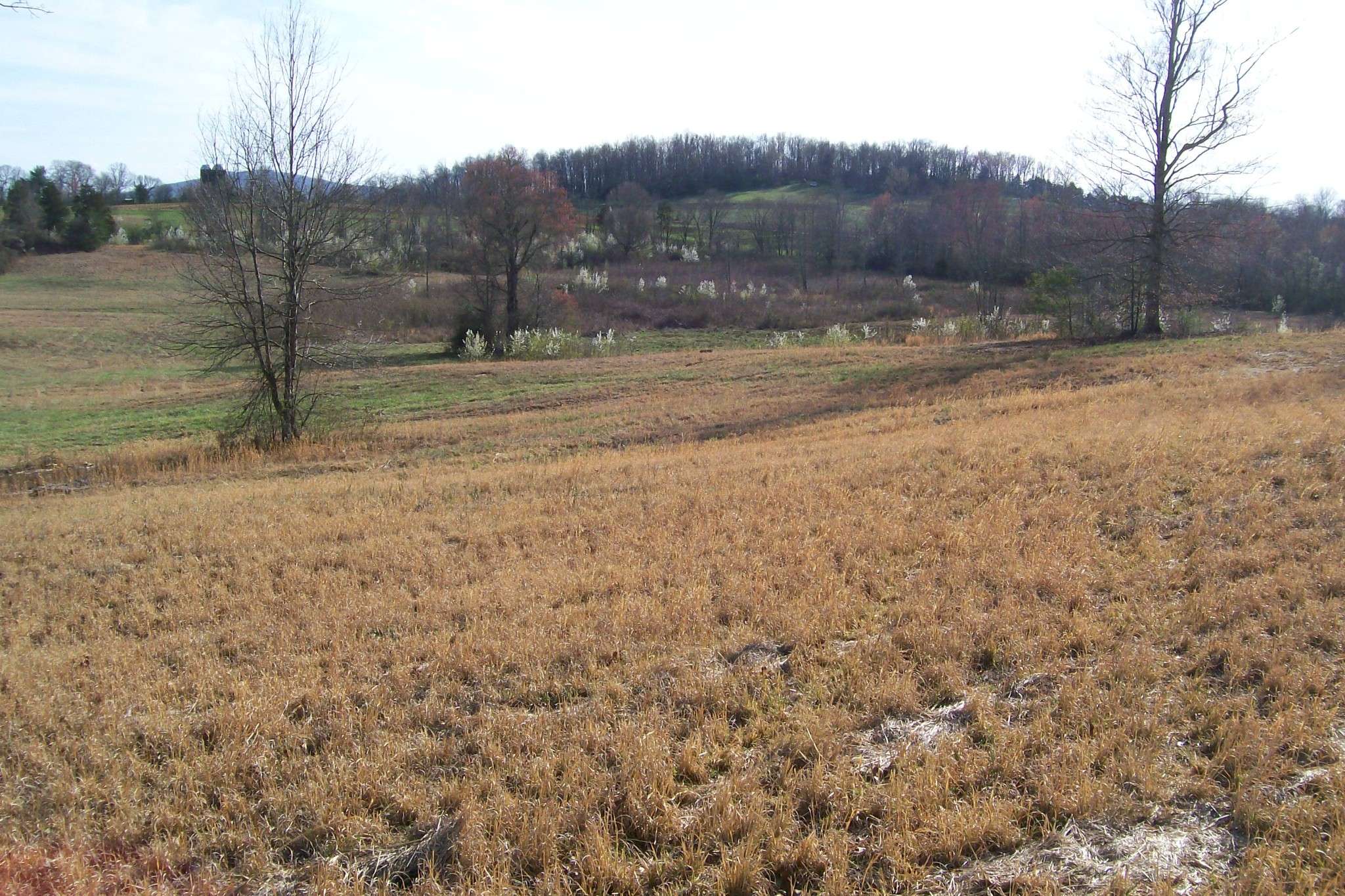 0 Rock Station Road, Rock Island, TN 38581