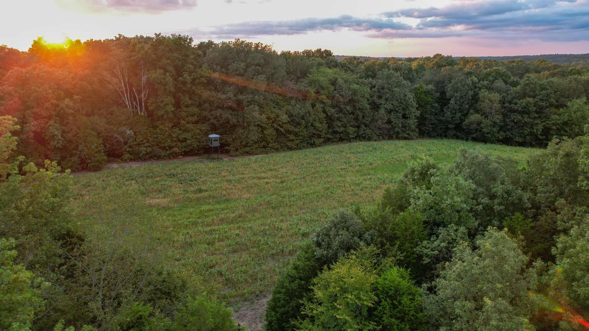1651 Yellow Creek, Dickson, TN 37055