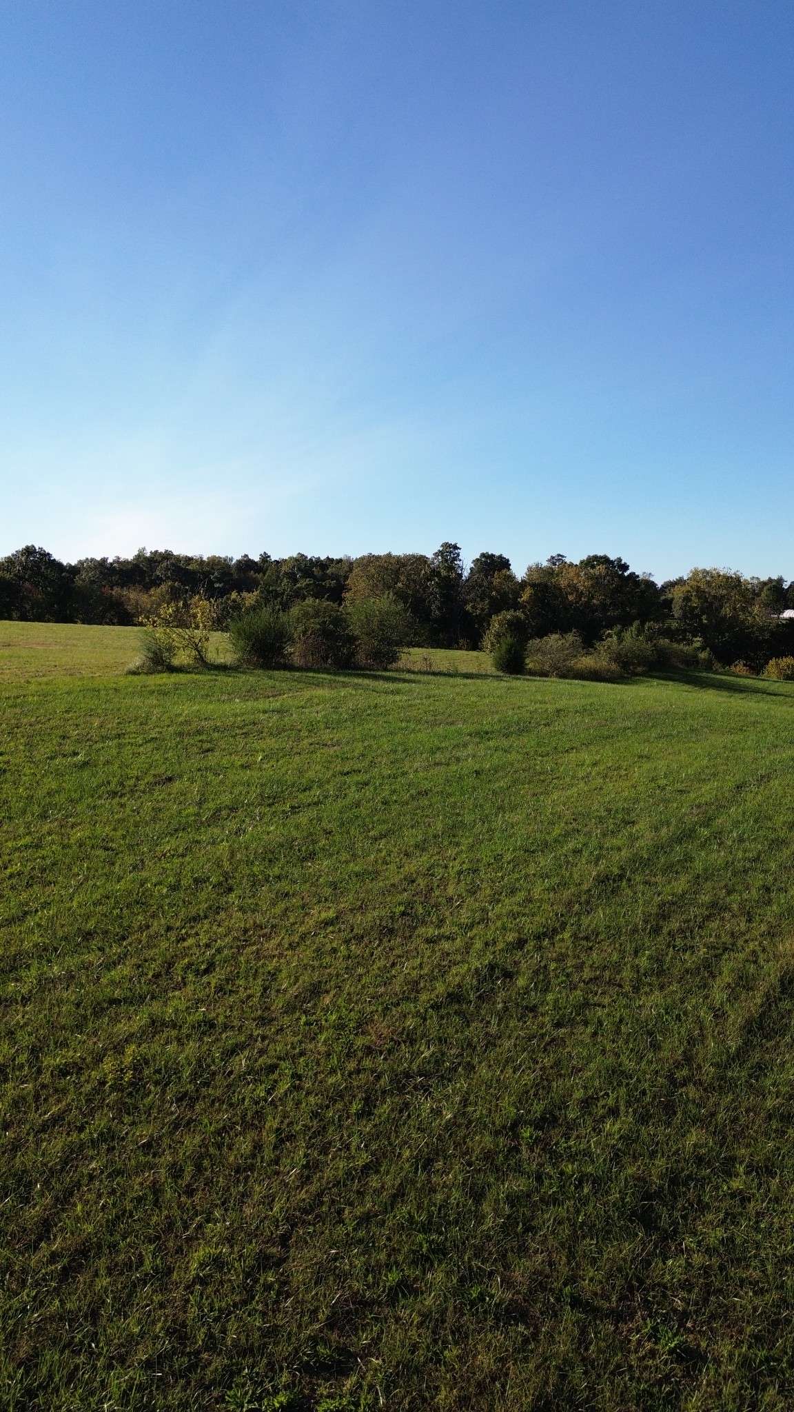 646 Barnes Mill Rd, Smithville, TN 37166