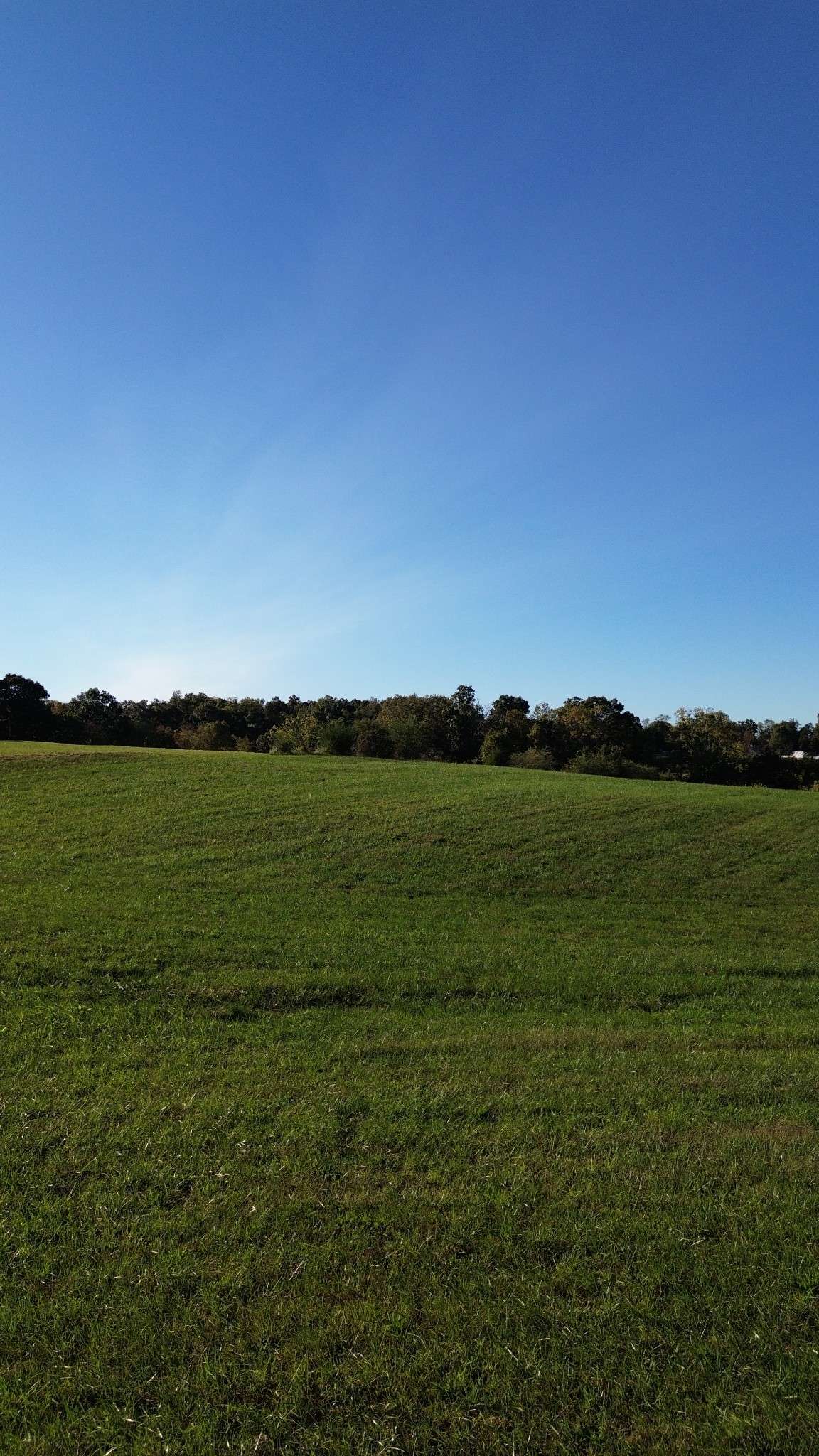 646 Barnes Mill Rd, Smithville, TN 37166
