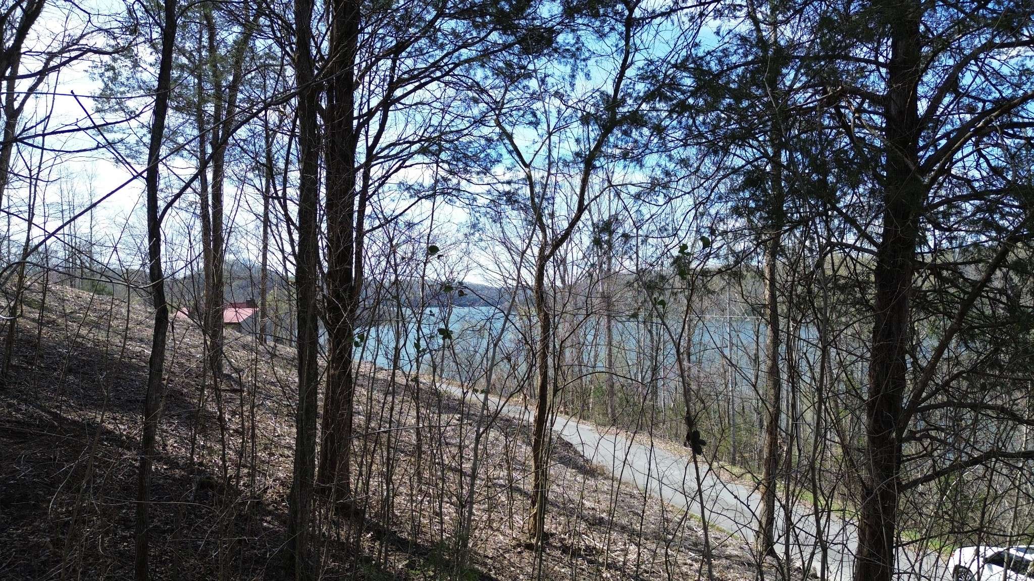 87 Harbor Pointe Dr, Silver Point, TN 38582