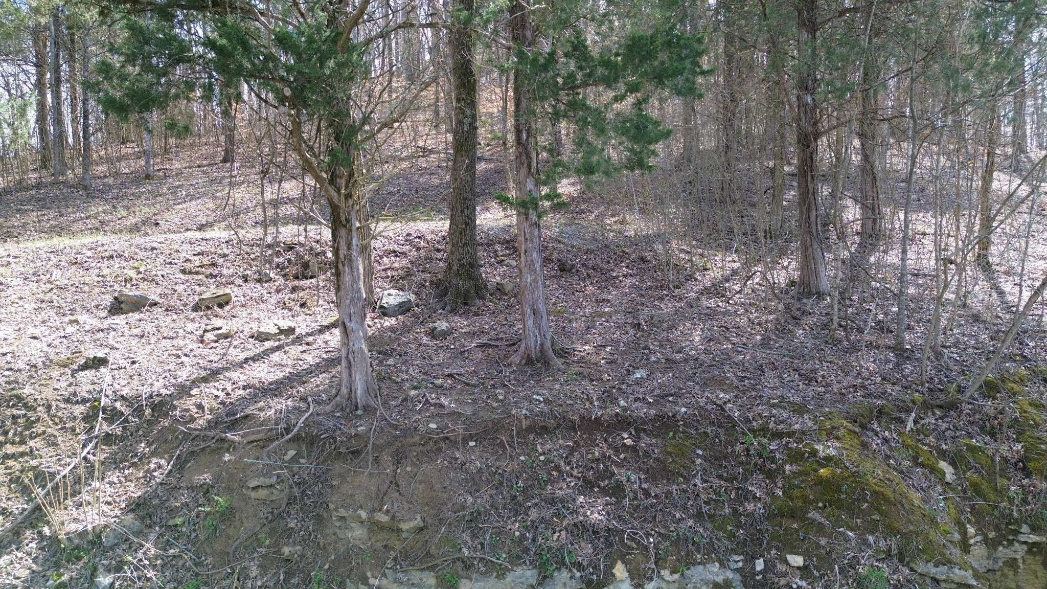 87 Harbor Pointe Dr, Silver Point, TN 38582