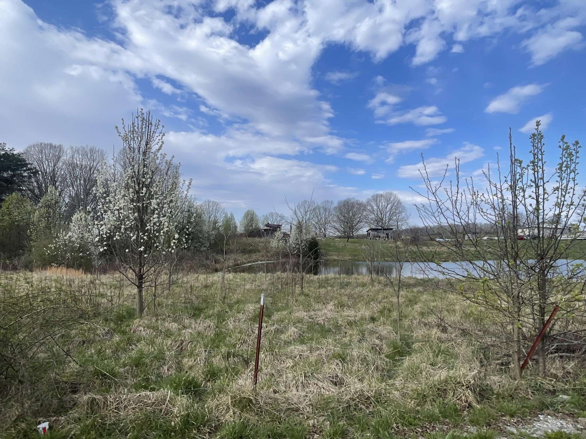 2 Watson Loop, Pikeville, TN 37367