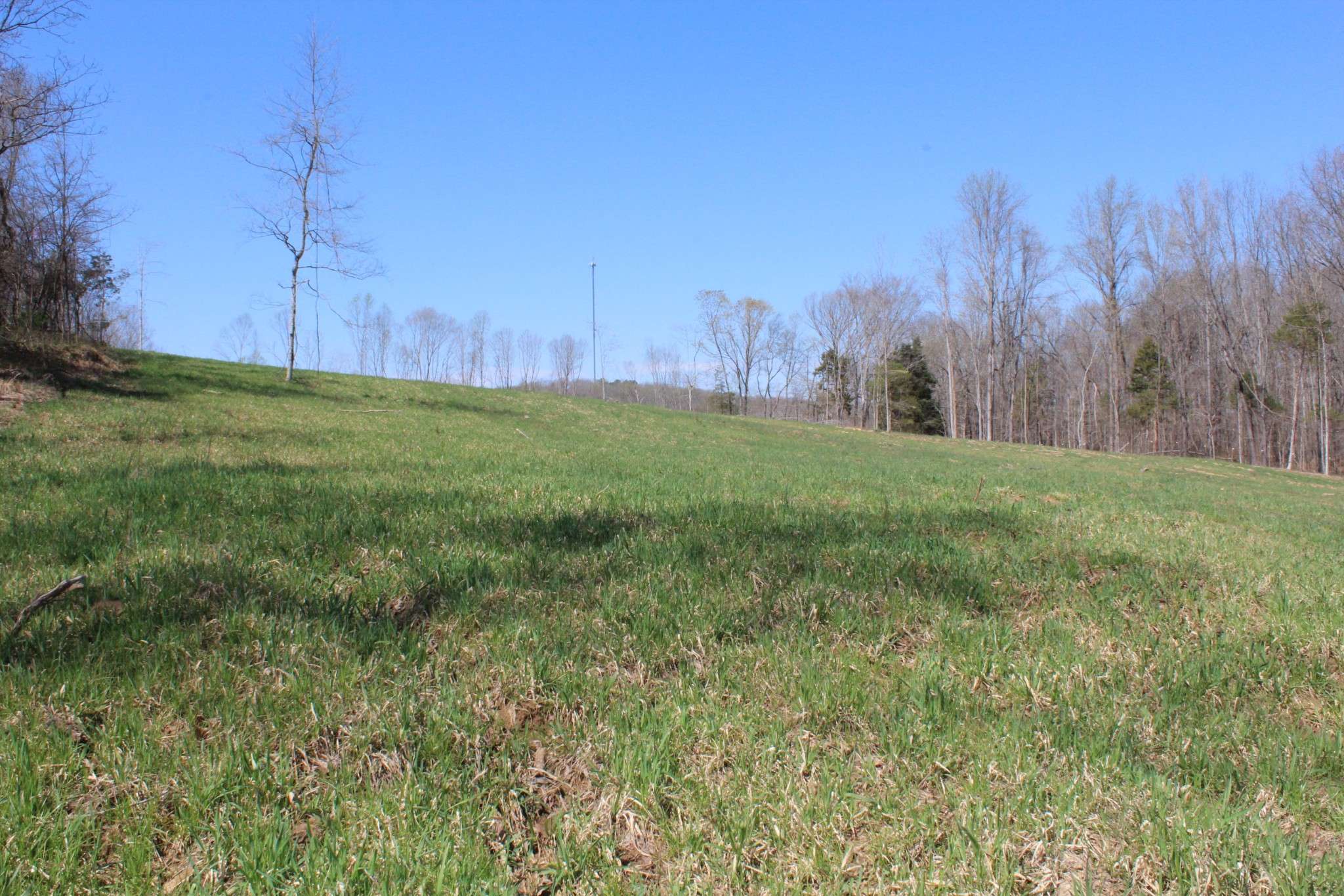 1 Grices Creek Rd, Cumberland City, TN 37050