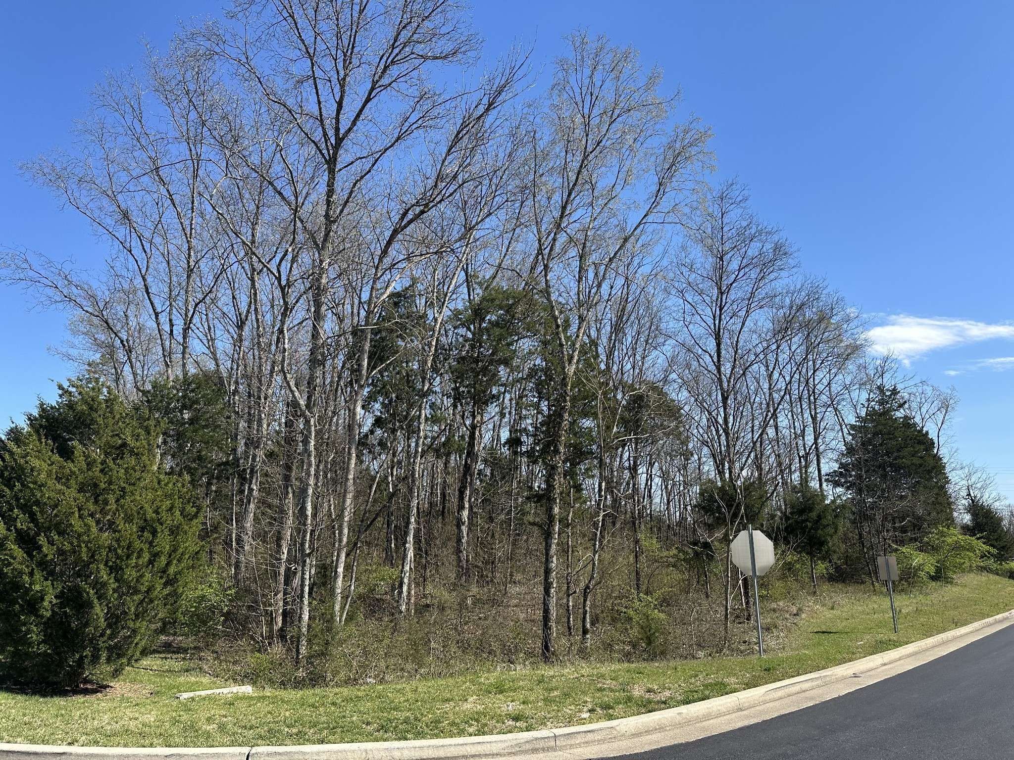0 Wildcat Way, Lebanon, TN 37090