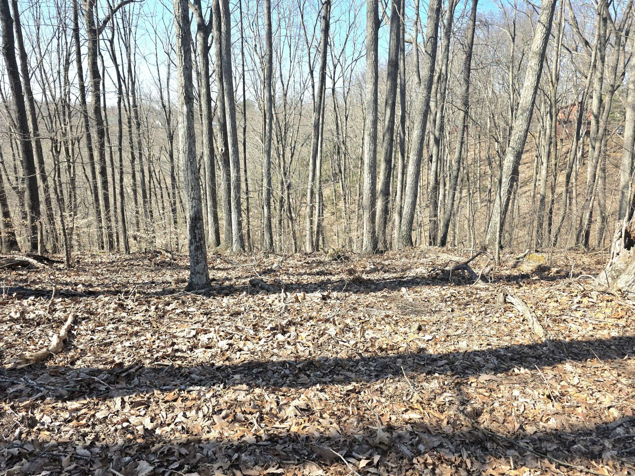 0 Windy Cut Dr, Dowelltown, TN 37059