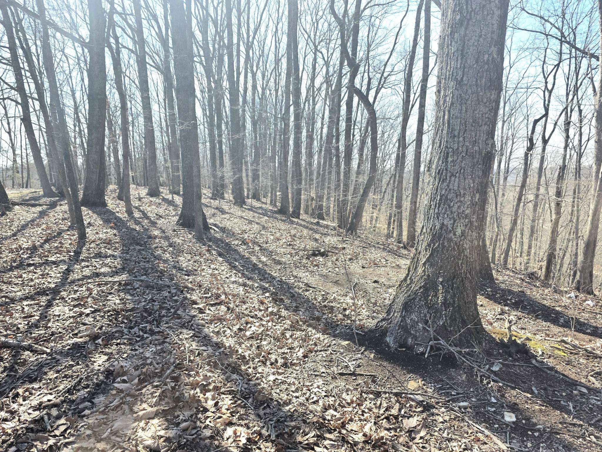 0 Windy Cut Dr, Dowelltown, TN 37059