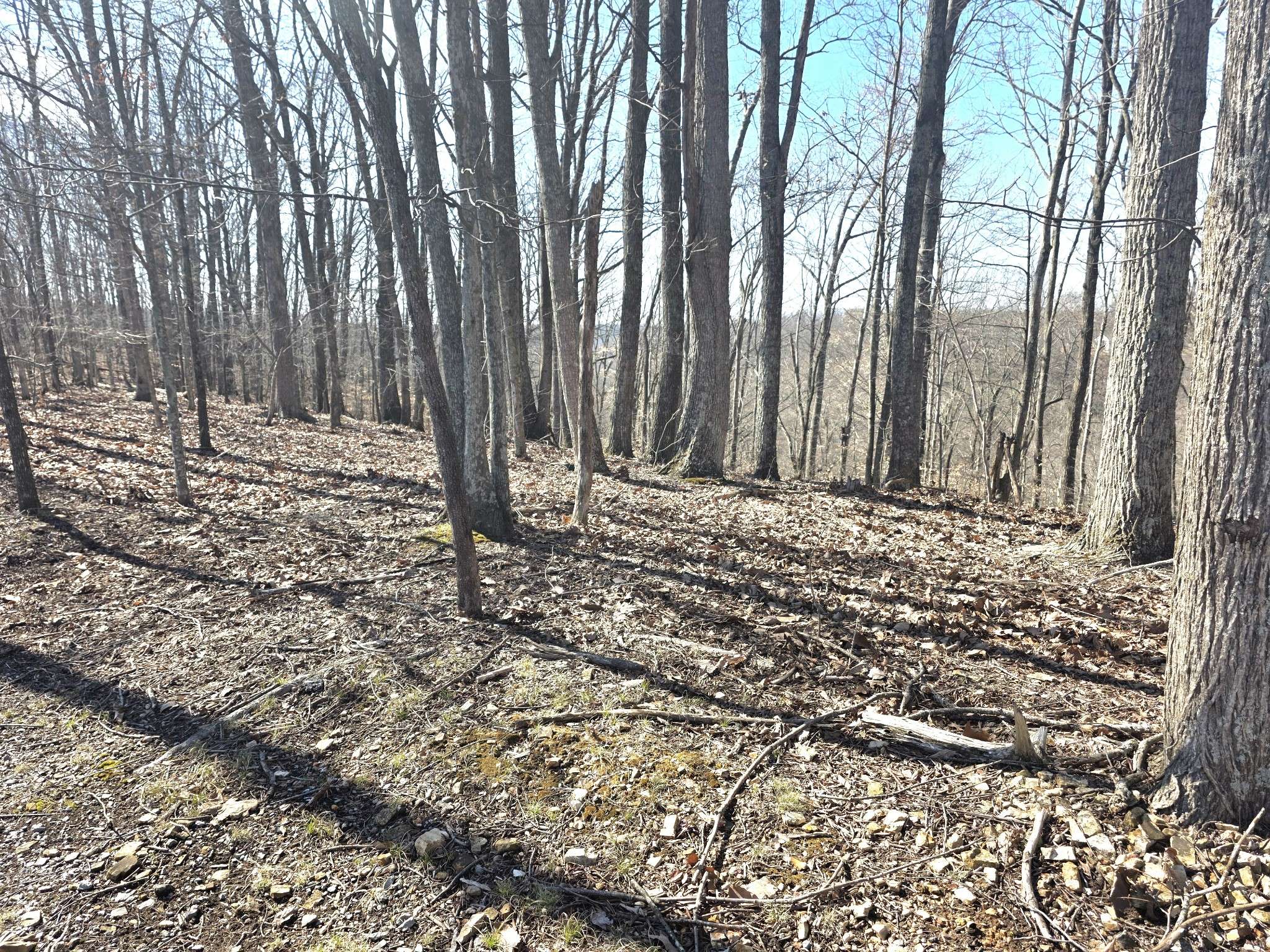 0 Windy Cut Dr, Dowelltown, TN 37059