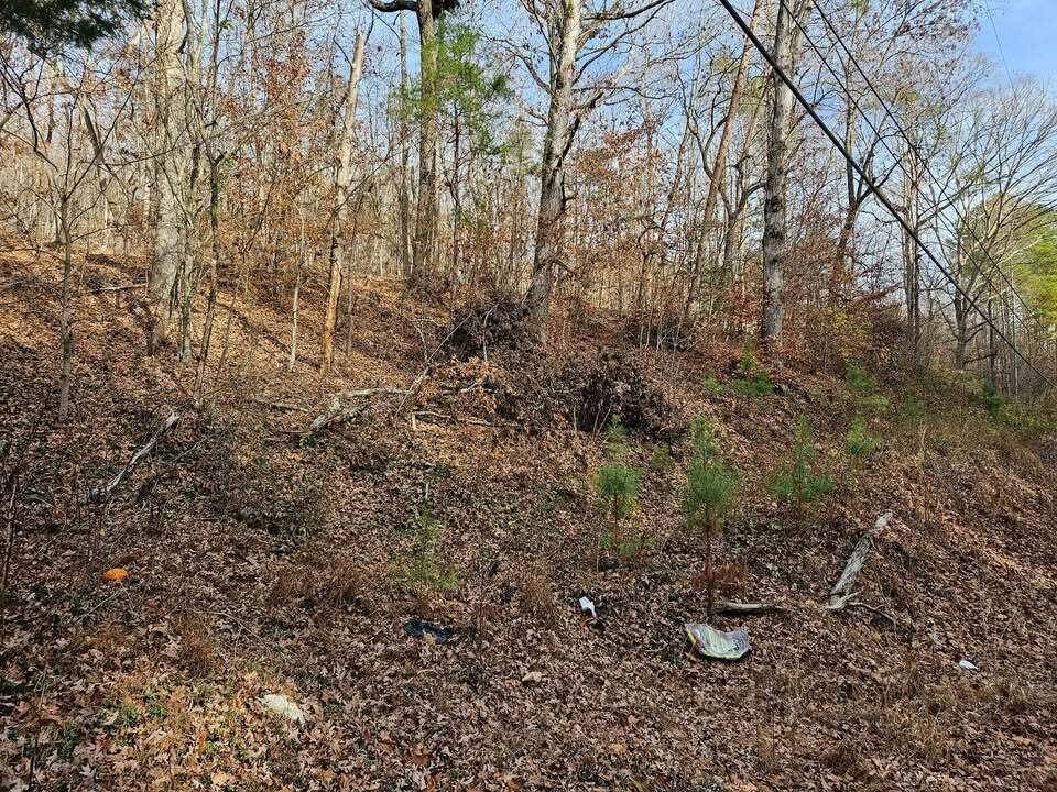7 Smyrna Road, Evensville, TN 37332
