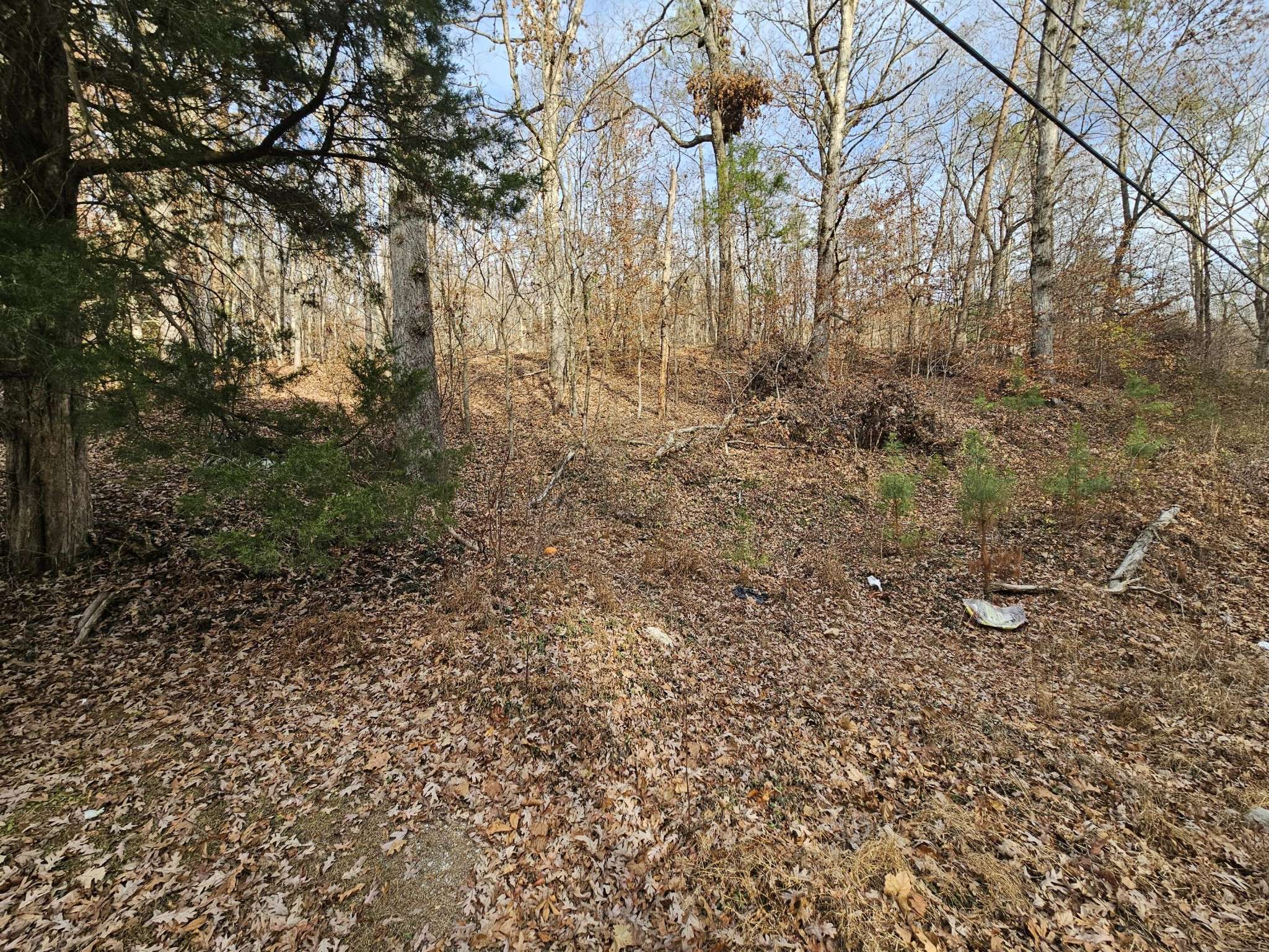 7 Smyrna Road, Evensville, TN 37332