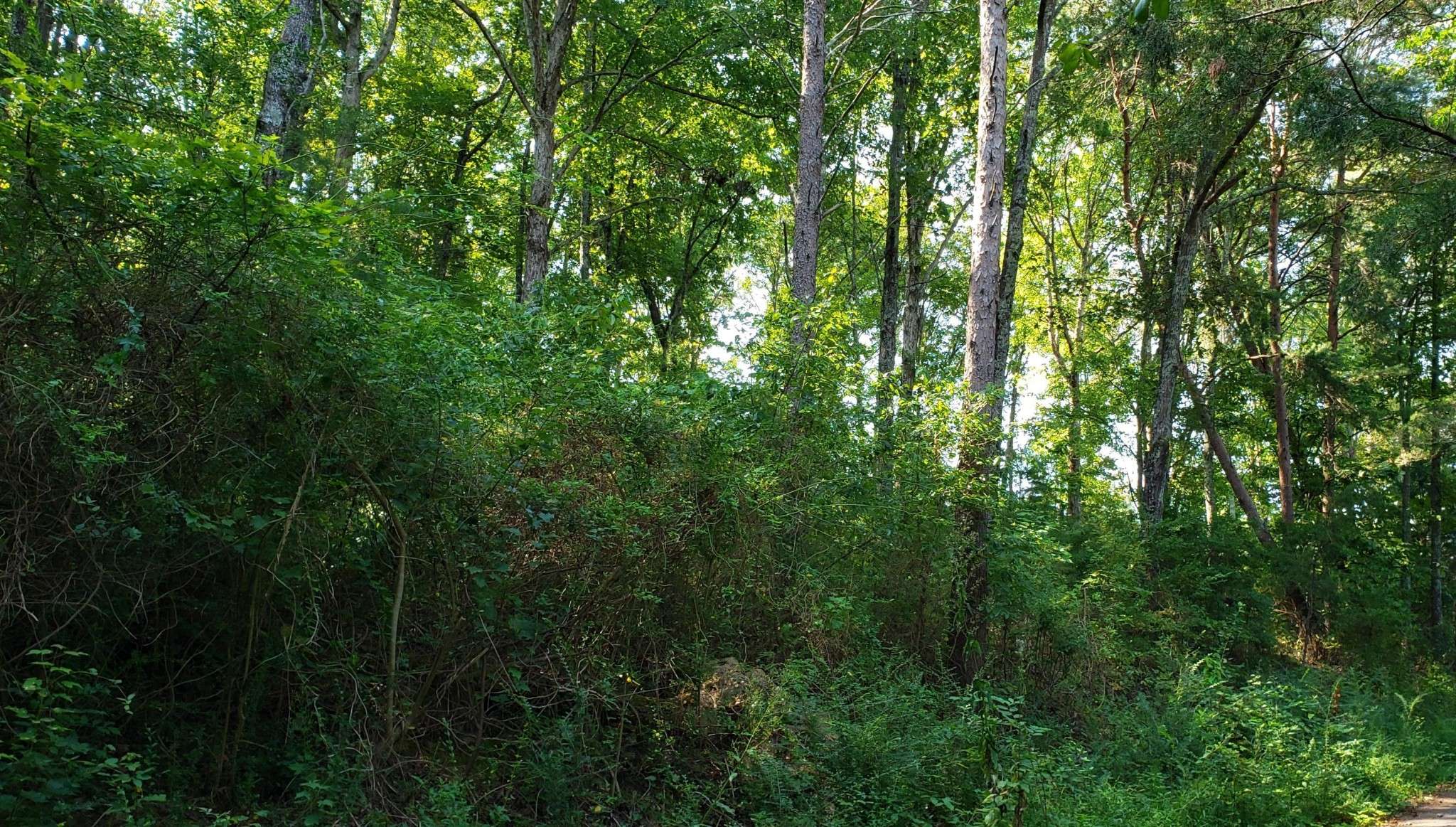 0 Treeline Drive, Dunlap, TN 37327