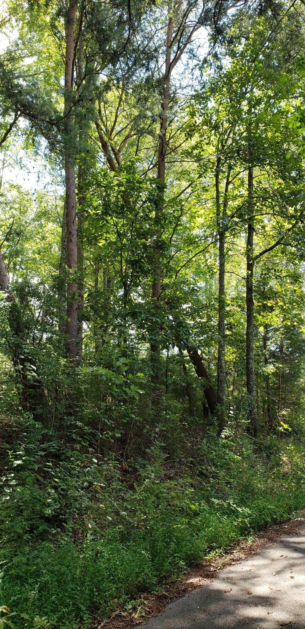 0 Treeline Drive, Dunlap, TN 37327