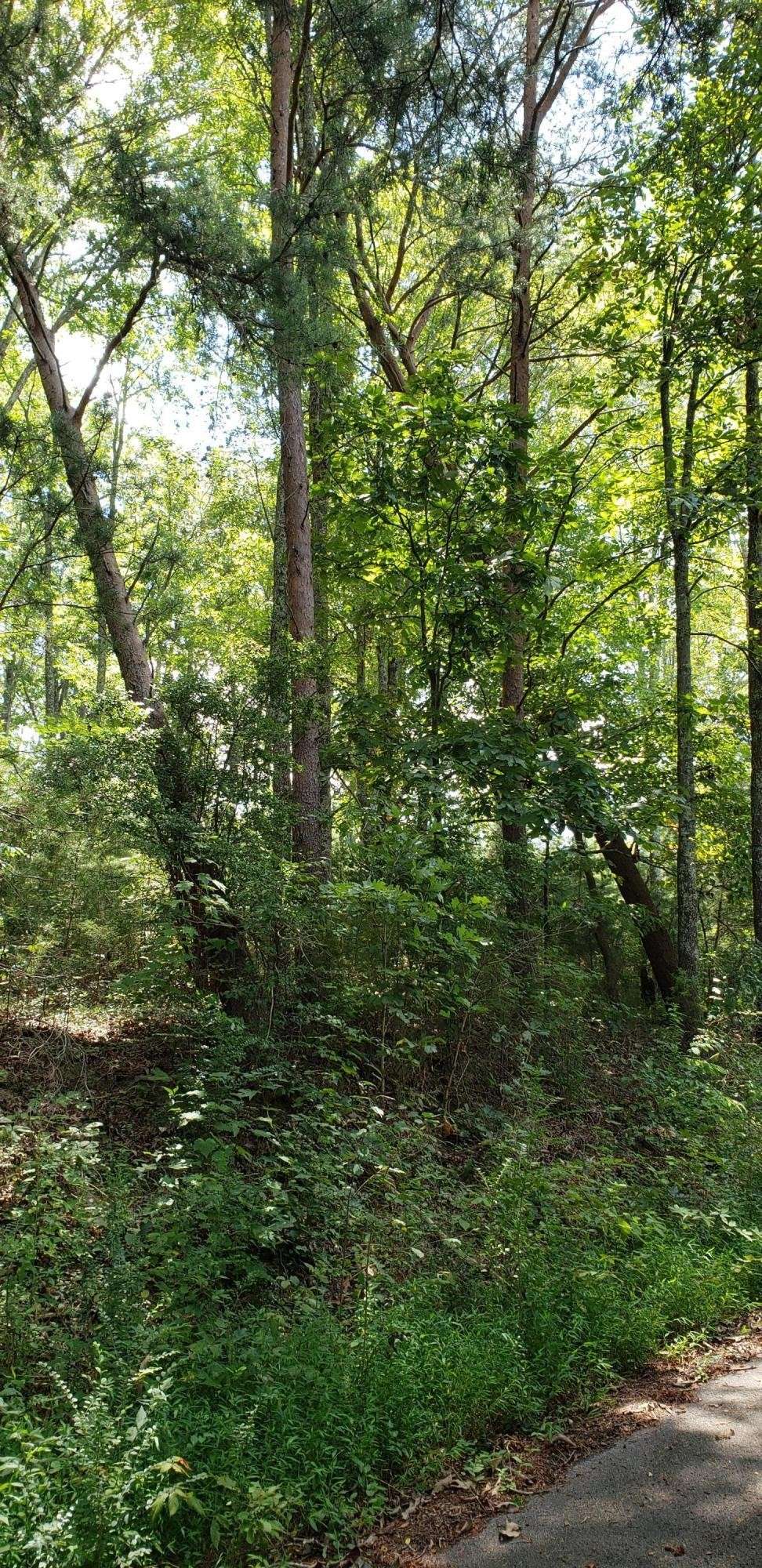 0 Treeline Drive, Dunlap, TN 37327