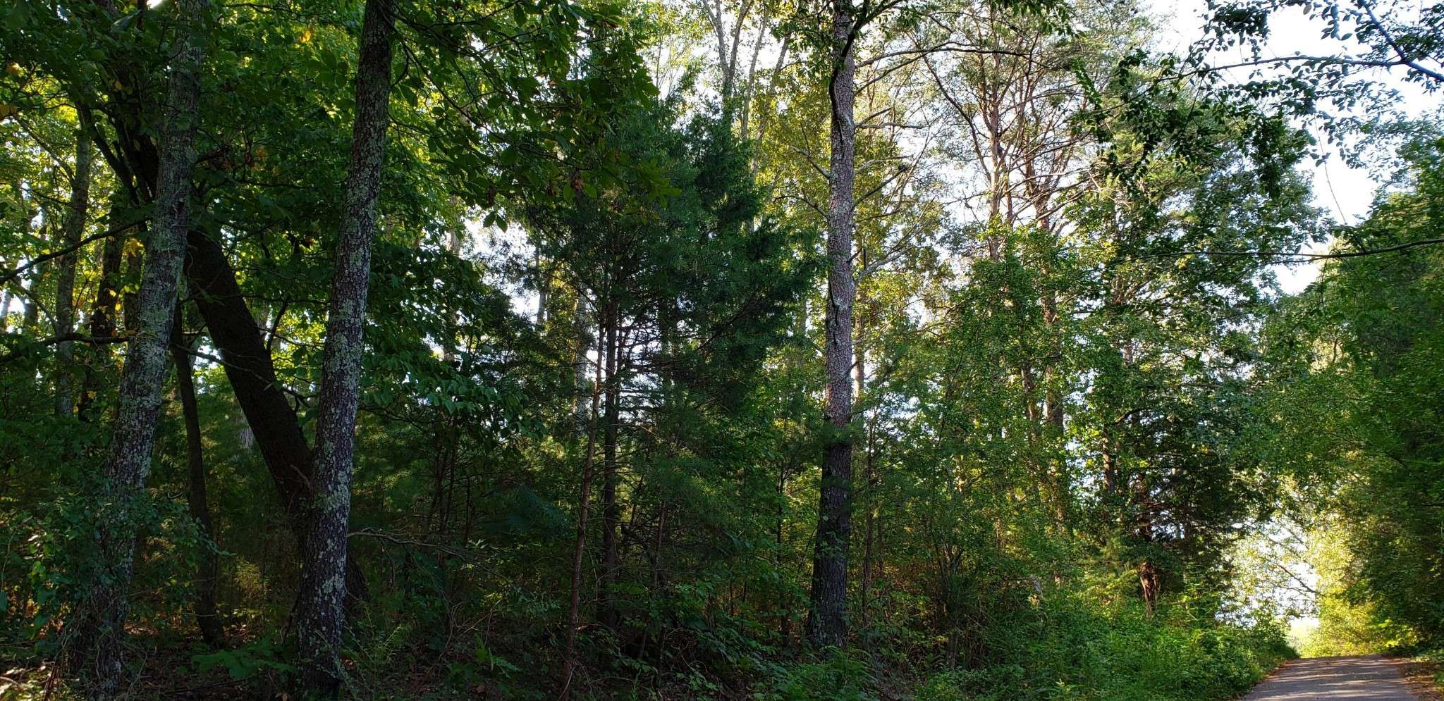 0 Treeline Drive, Dunlap, TN 37327
