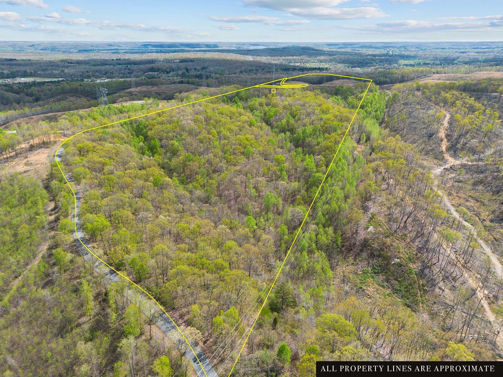 0 Nell Beard Rd, New Johnsonville, TN 37134
