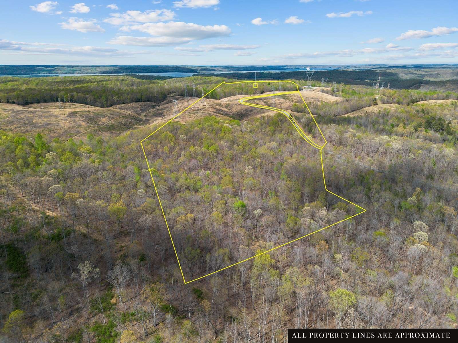 0 Nell Beard Rd, New Johnsonville, TN 37134