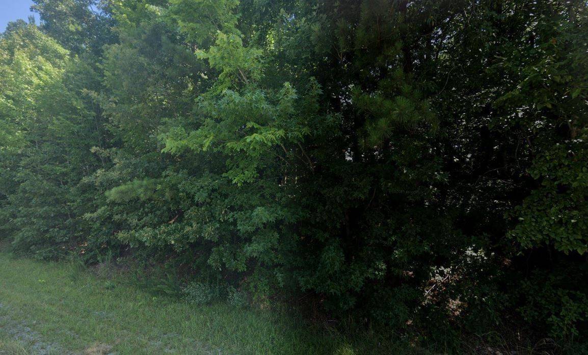 0 First Street #W, Dickson, TN 37055