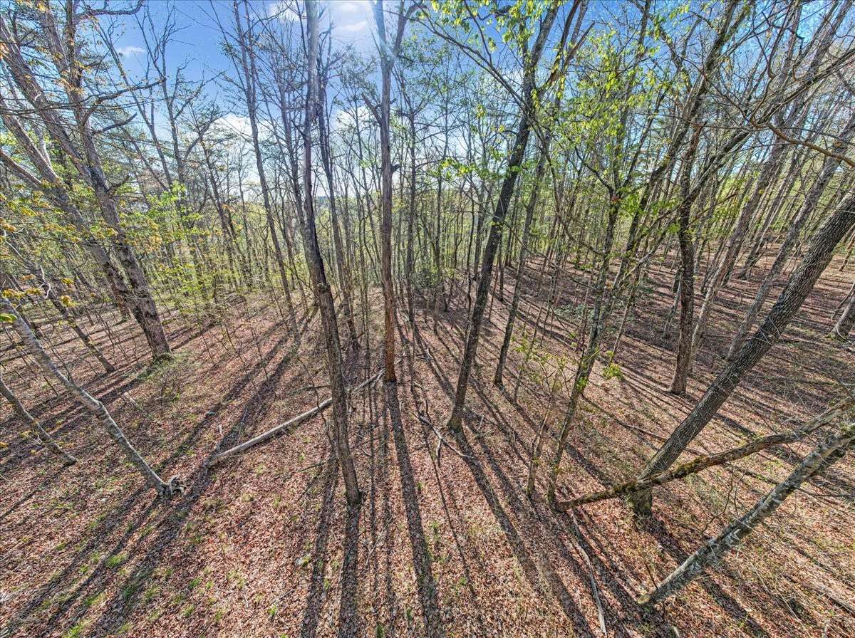 1 Seagroves Rd, Tracy City, TN 37387