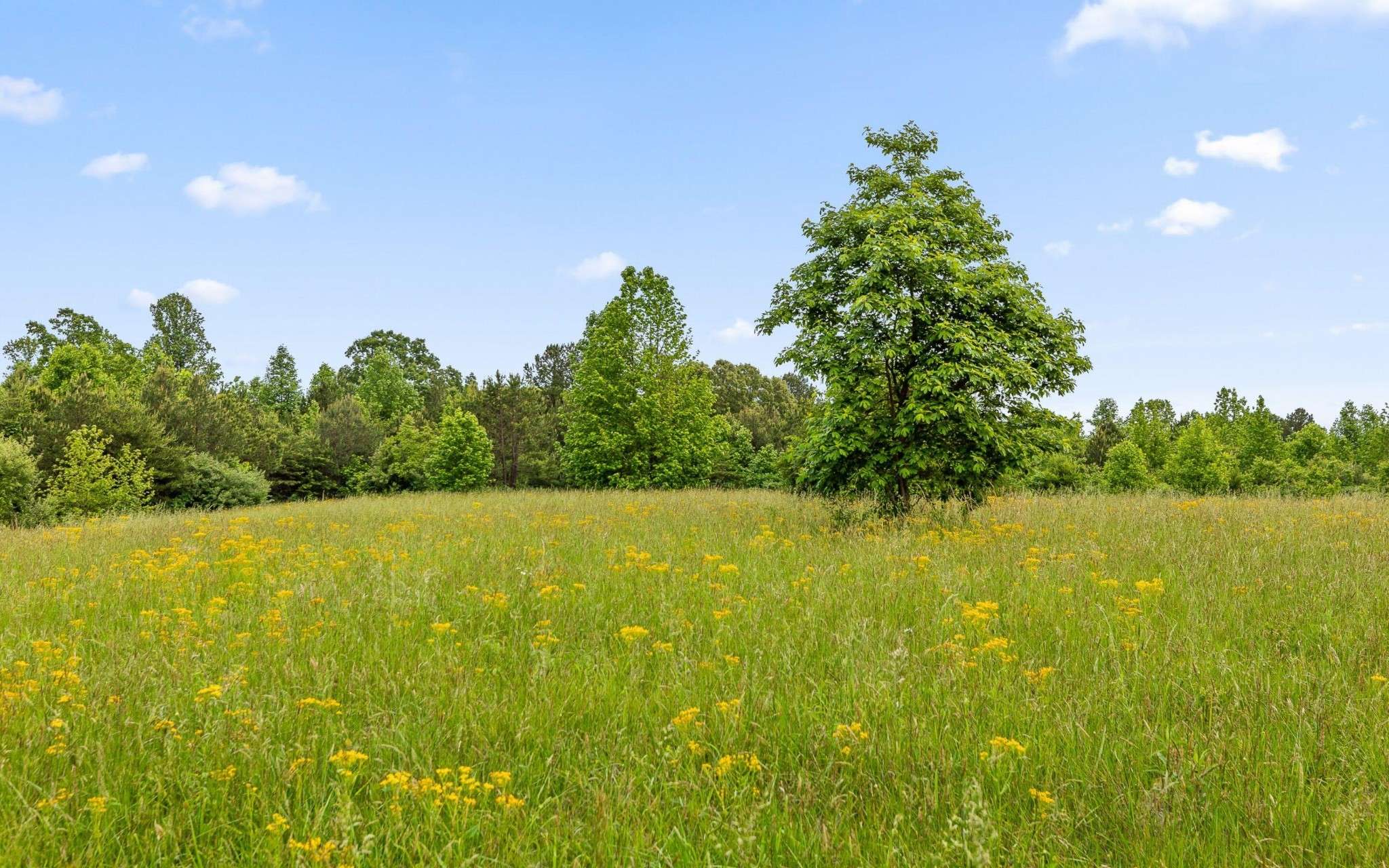 10600 Skyridge Trail, Soddy Daisy, TN 37379