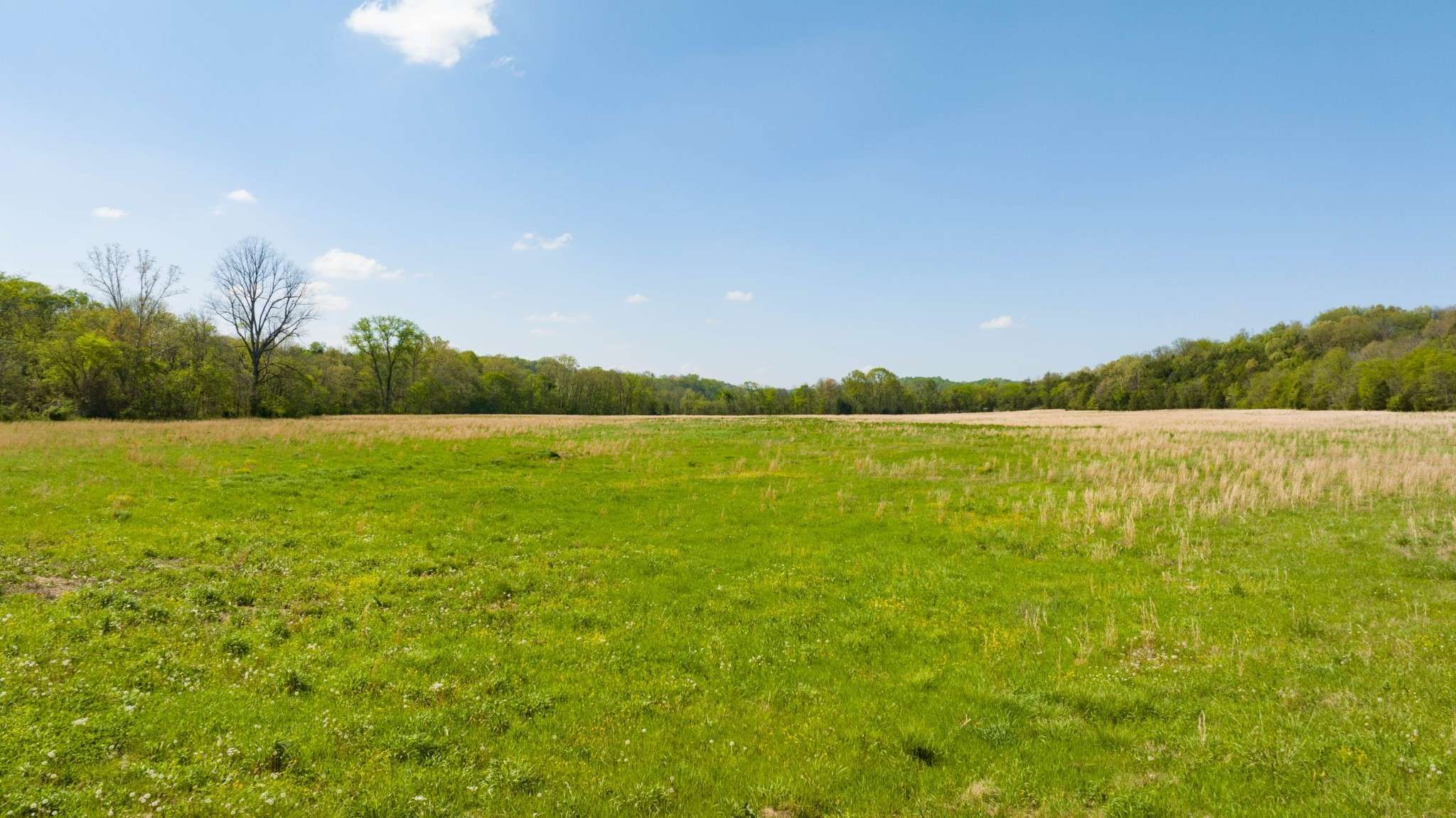 0 Pee Dee Branch Rd, Cottontown, TN 37048