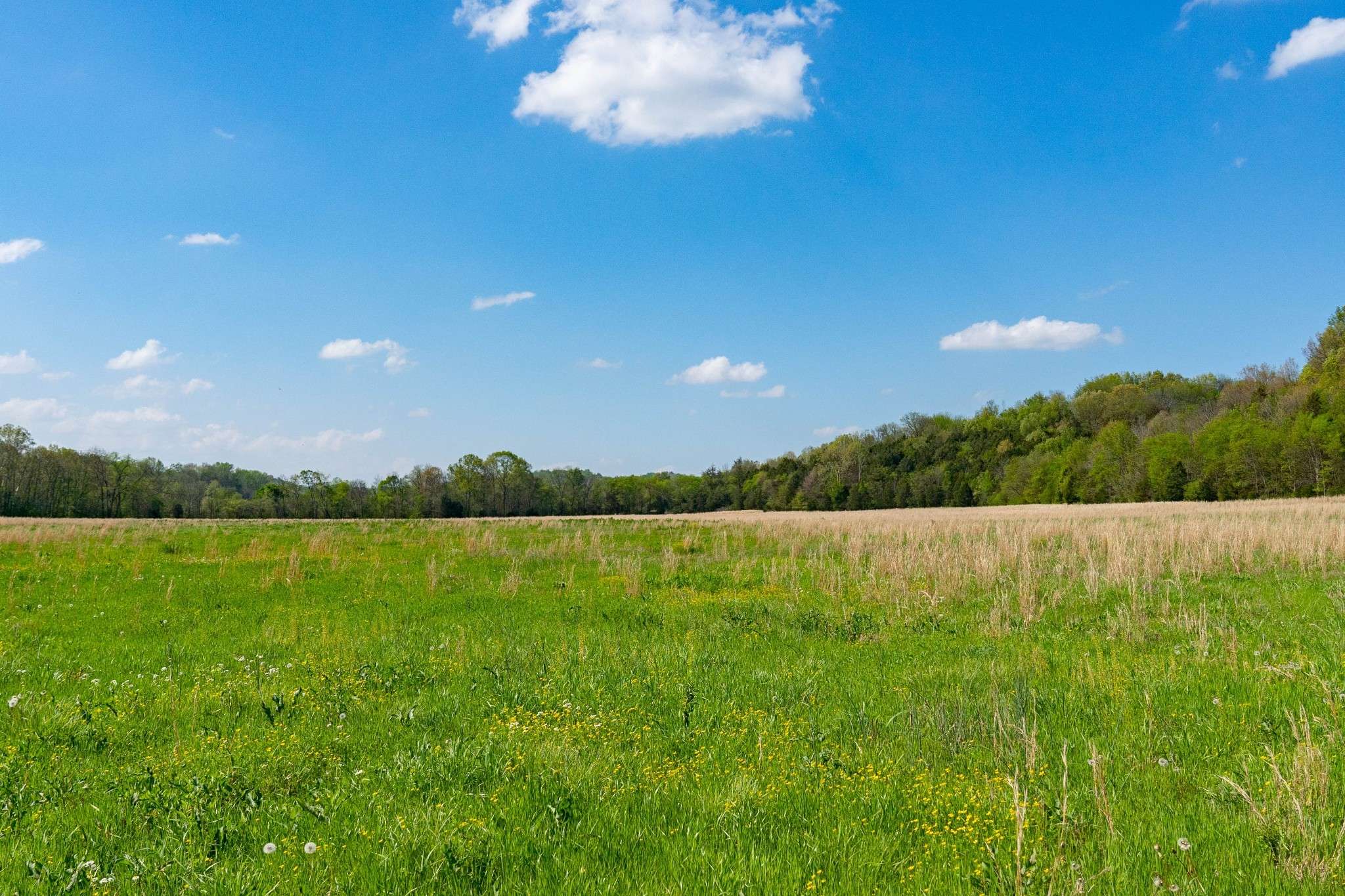 0 Pee Dee Branch Rd, Cottontown, TN 37048