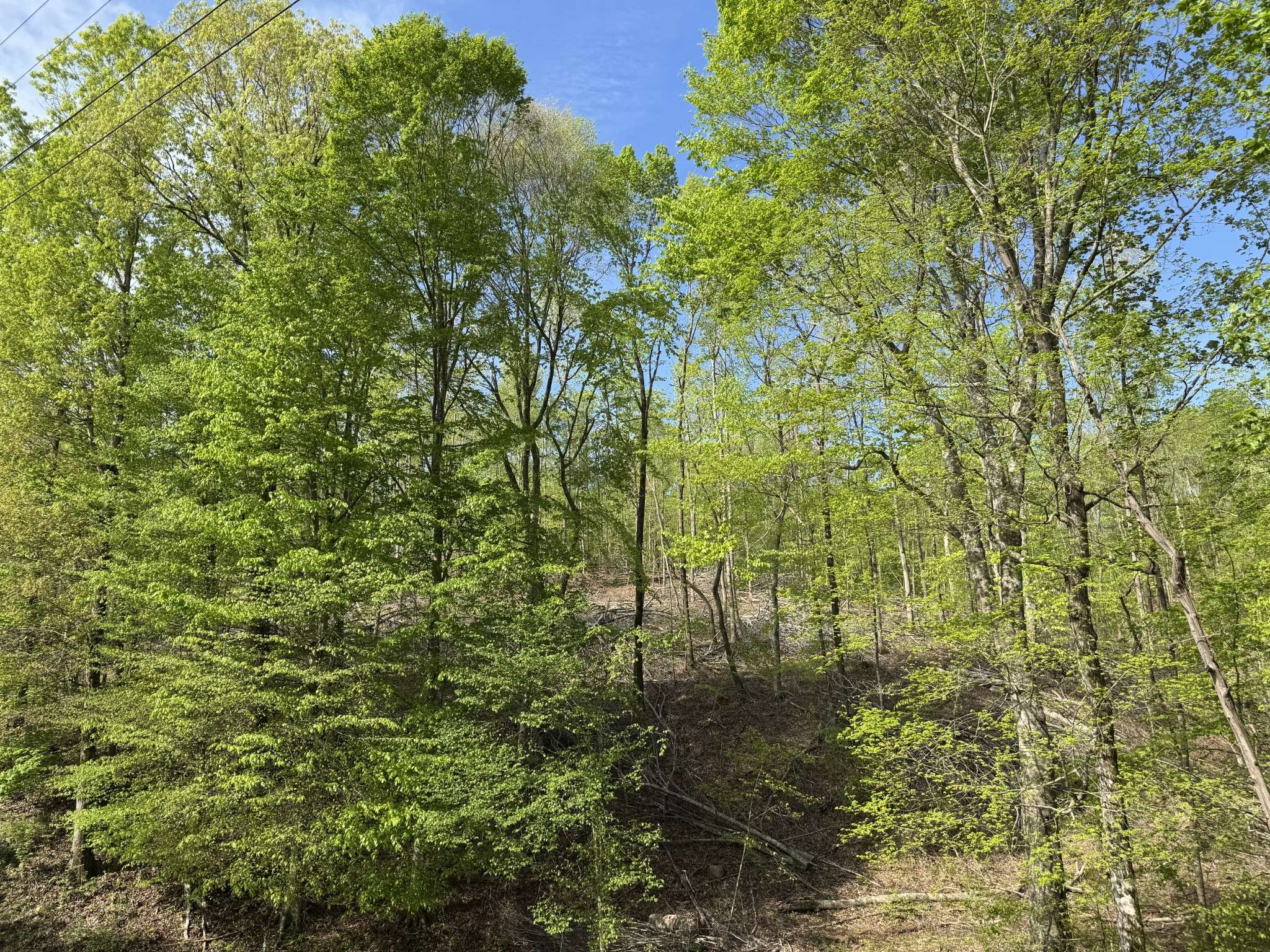 0 Waynesboro Hwy, Waynesboro, TN 38485