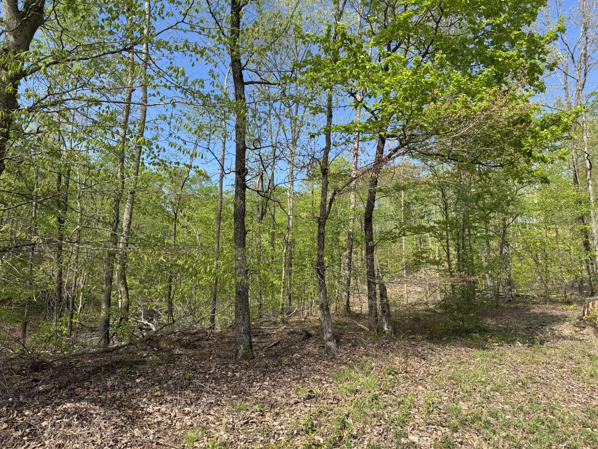 0 Waynesboro Hwy, Waynesboro, TN 38485
