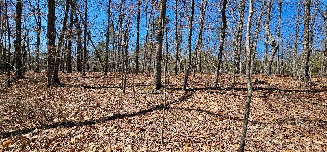 1 Vista View Drive #S, Dunlap, TN 37327