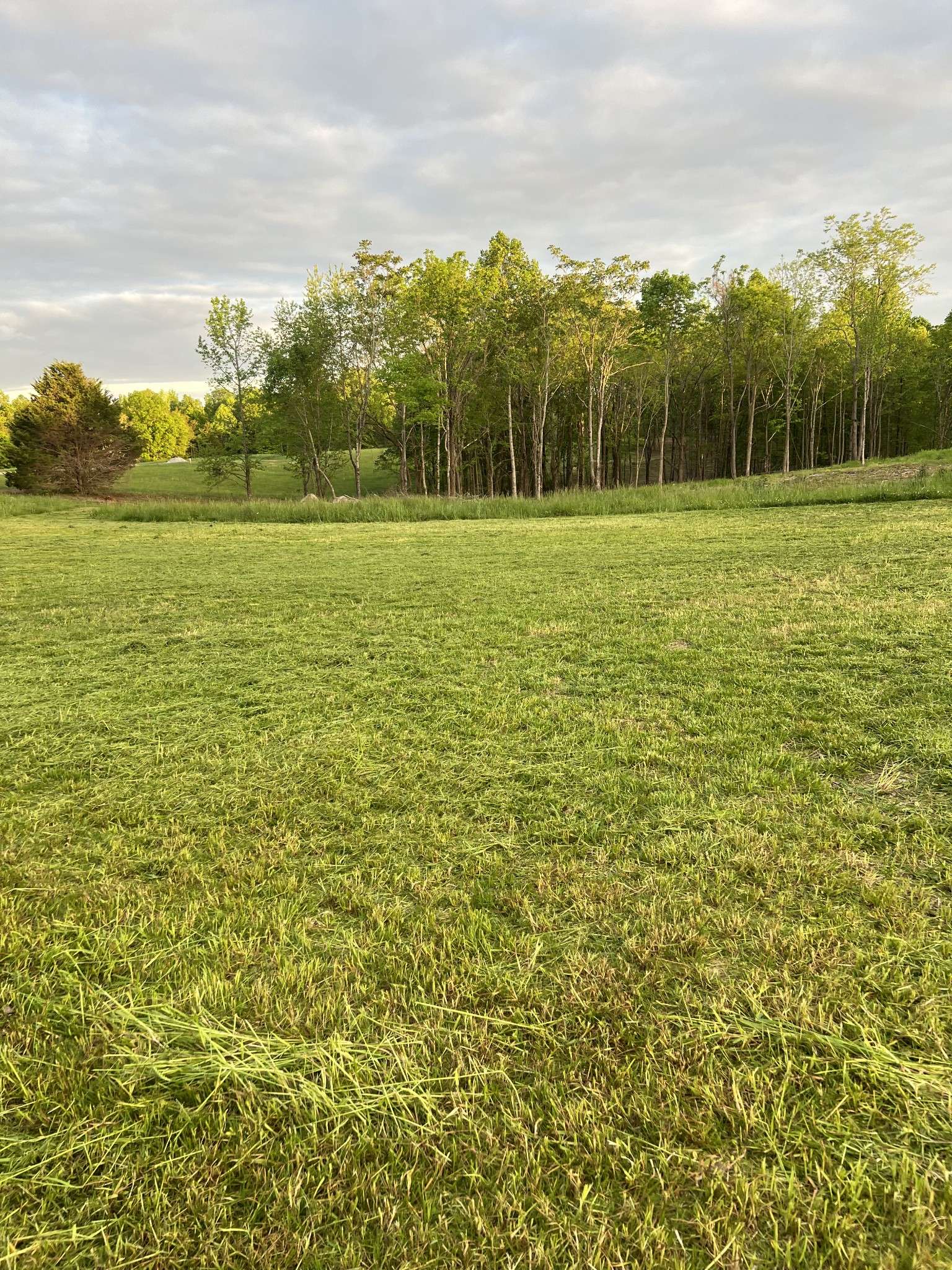 9360 Medlin Rd, Baxter, TN 38544