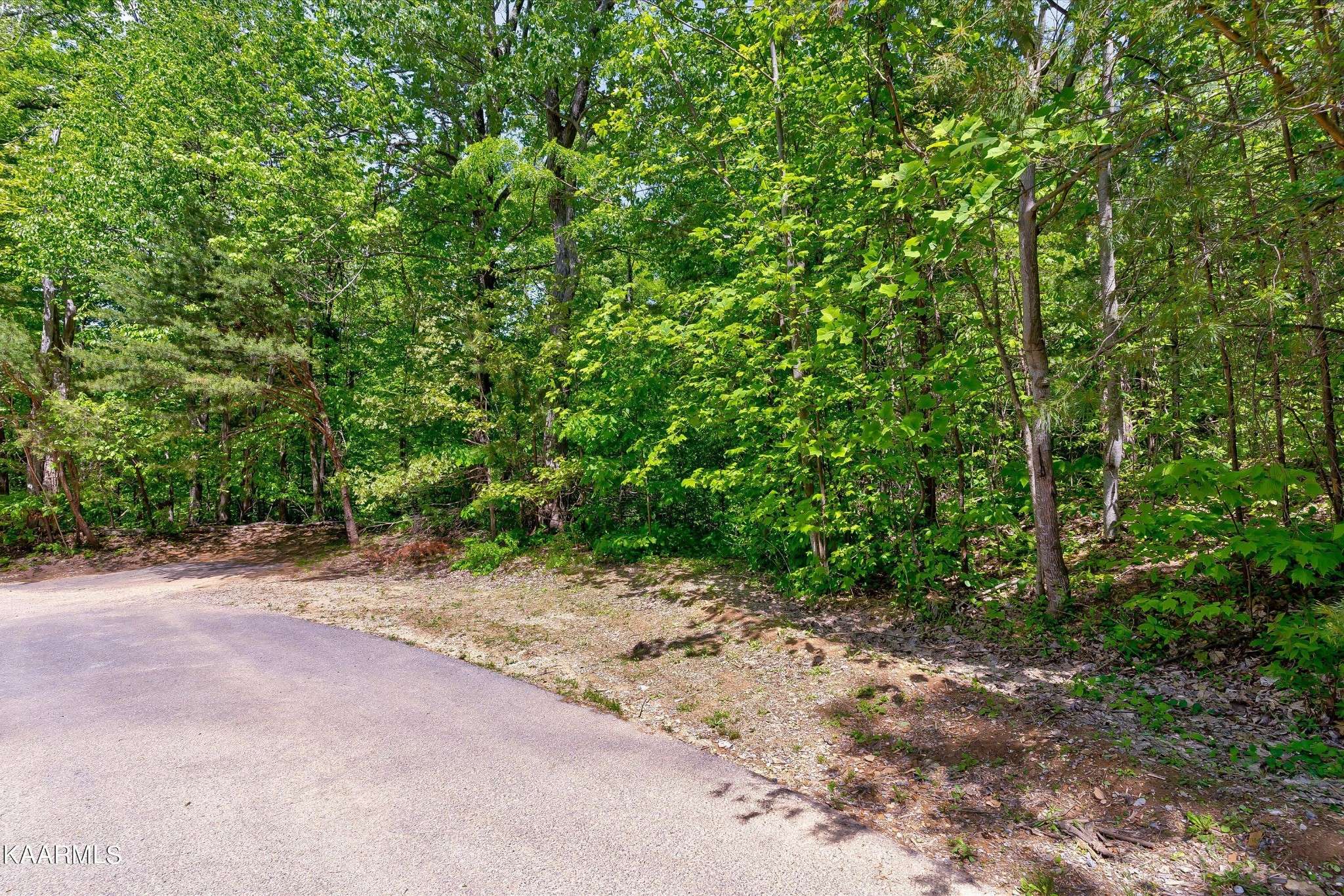 650 Silver Poplar Lane, Sevierville, TN 37876