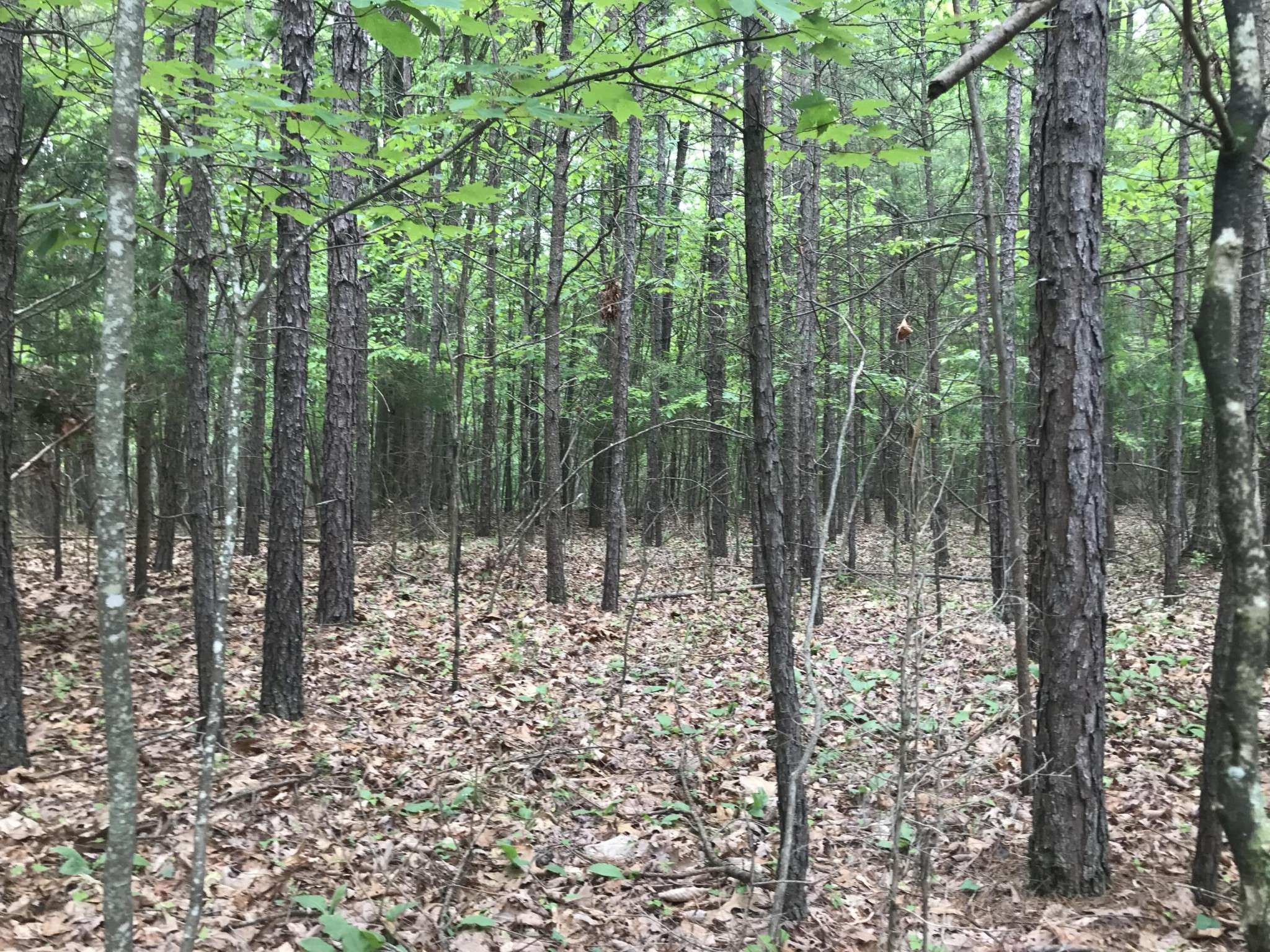 0 Bluffview Drive, Dunlap, TN 37327