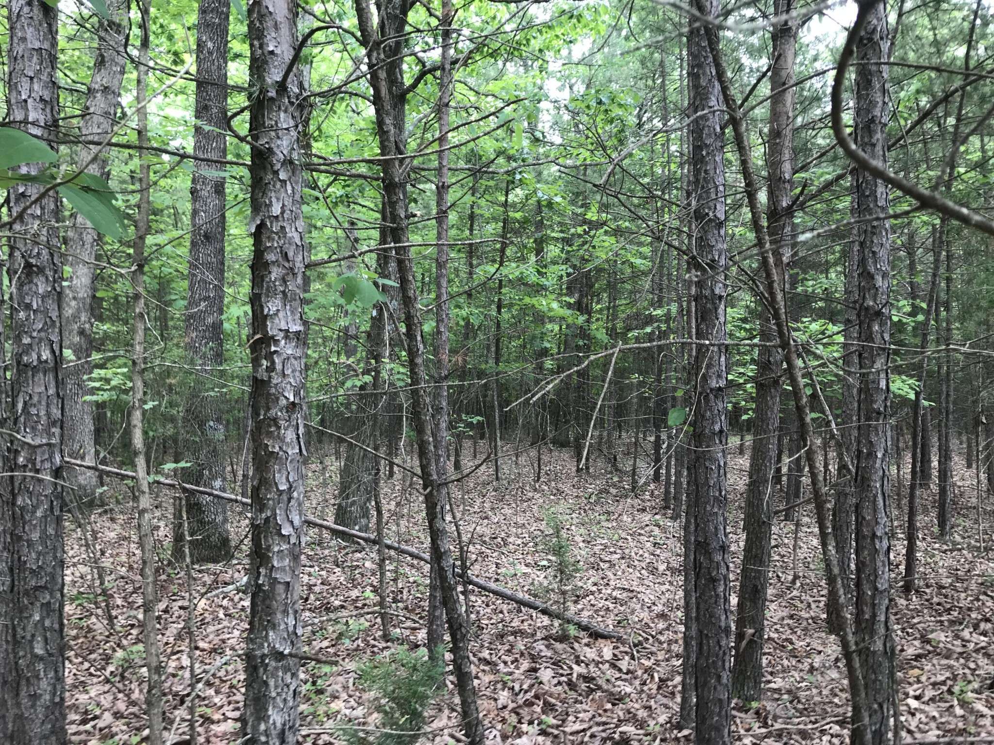 0 Bluffview Drive, Dunlap, TN 37327
