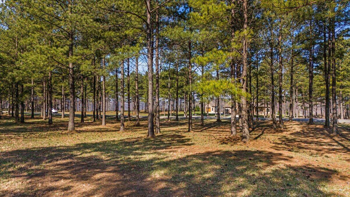 950 Cumberland Circle, Jasper, TN 37347