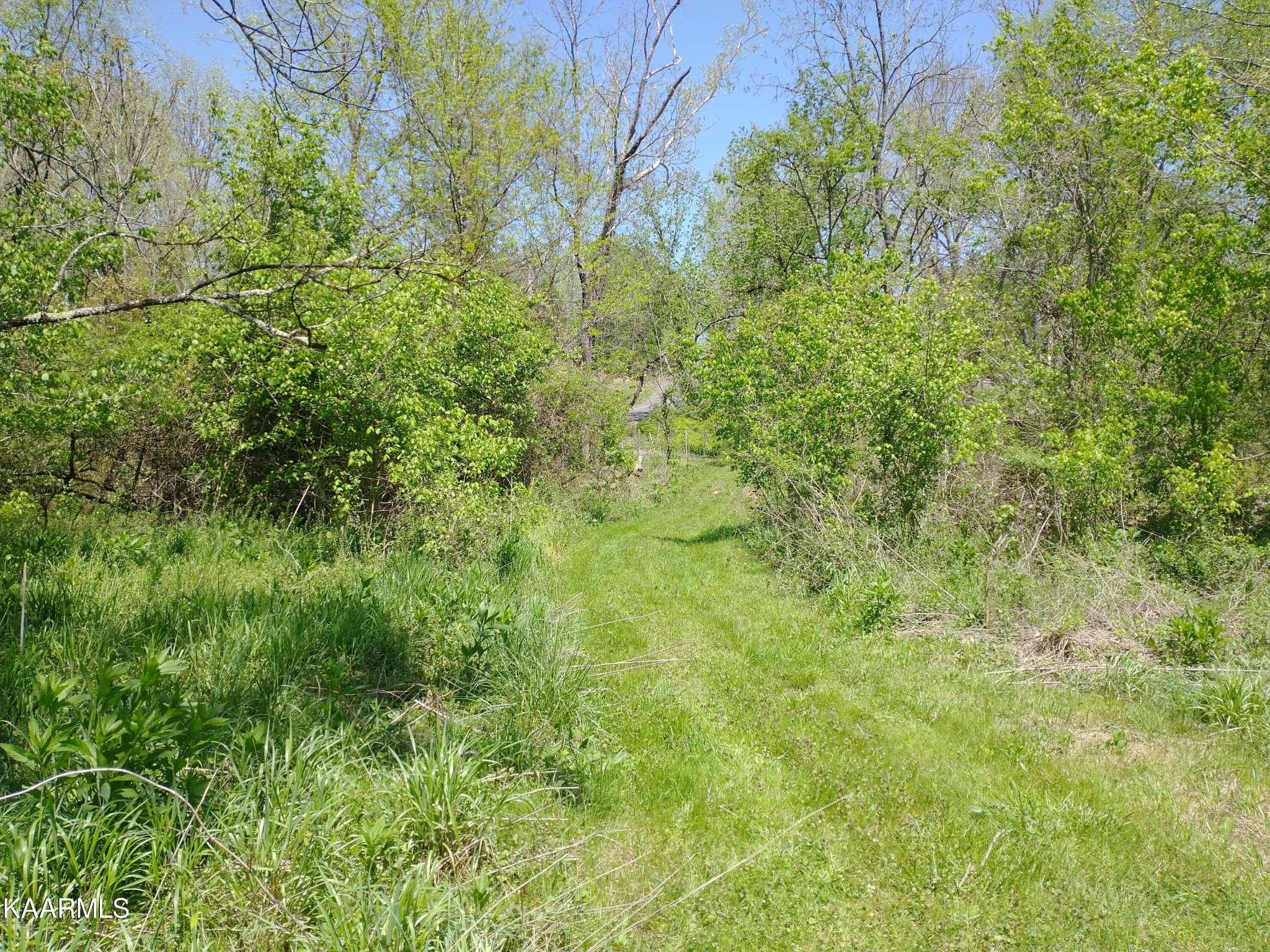 420 Winding Ridge Tr, Seymour, TN 37865