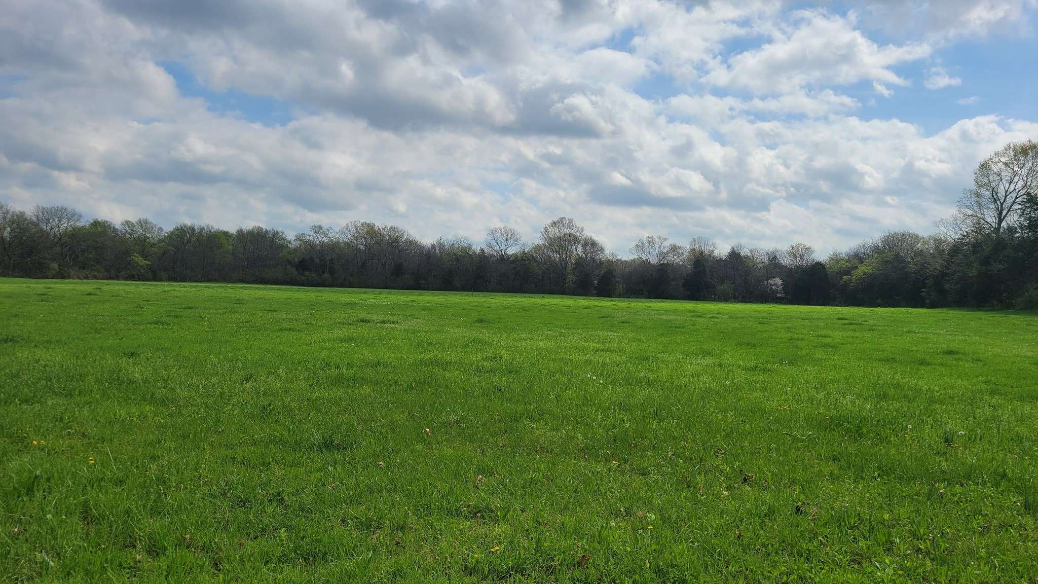 4 Pass Rd, Shelbyville, TN 37160