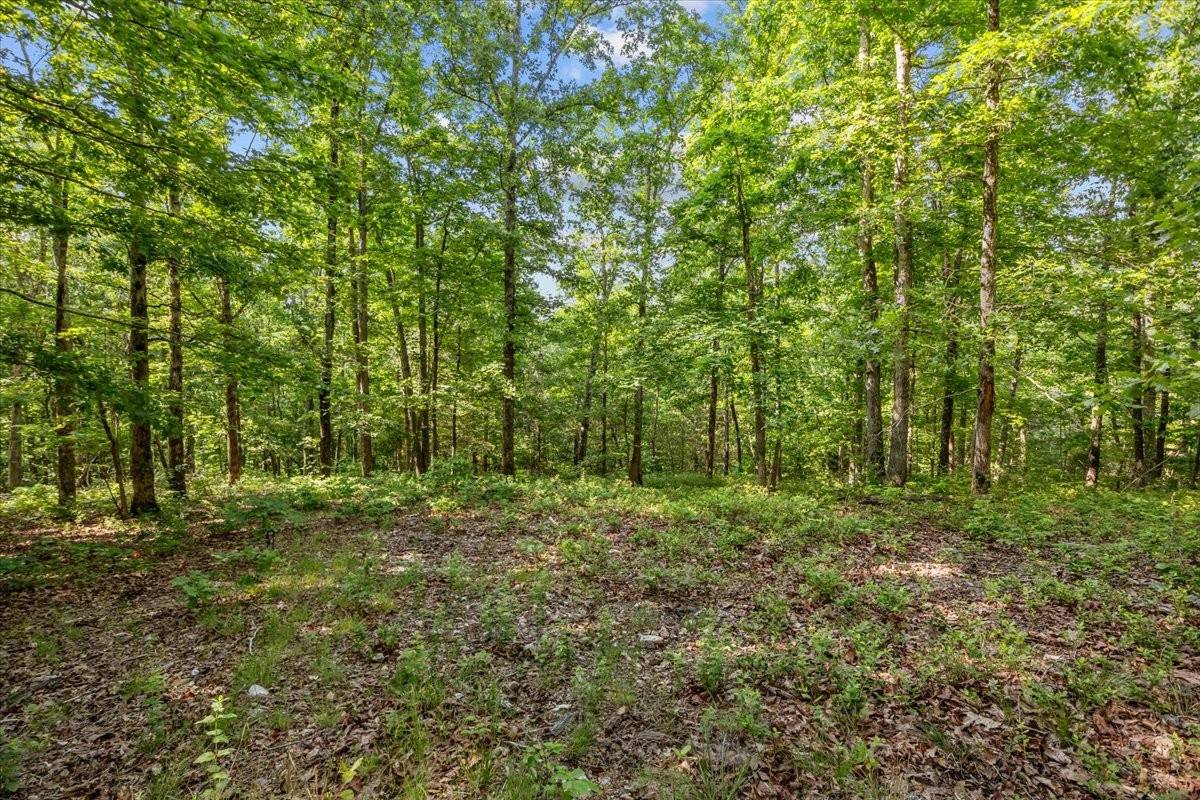 0 Highwater Road, Waverly, TN 37185