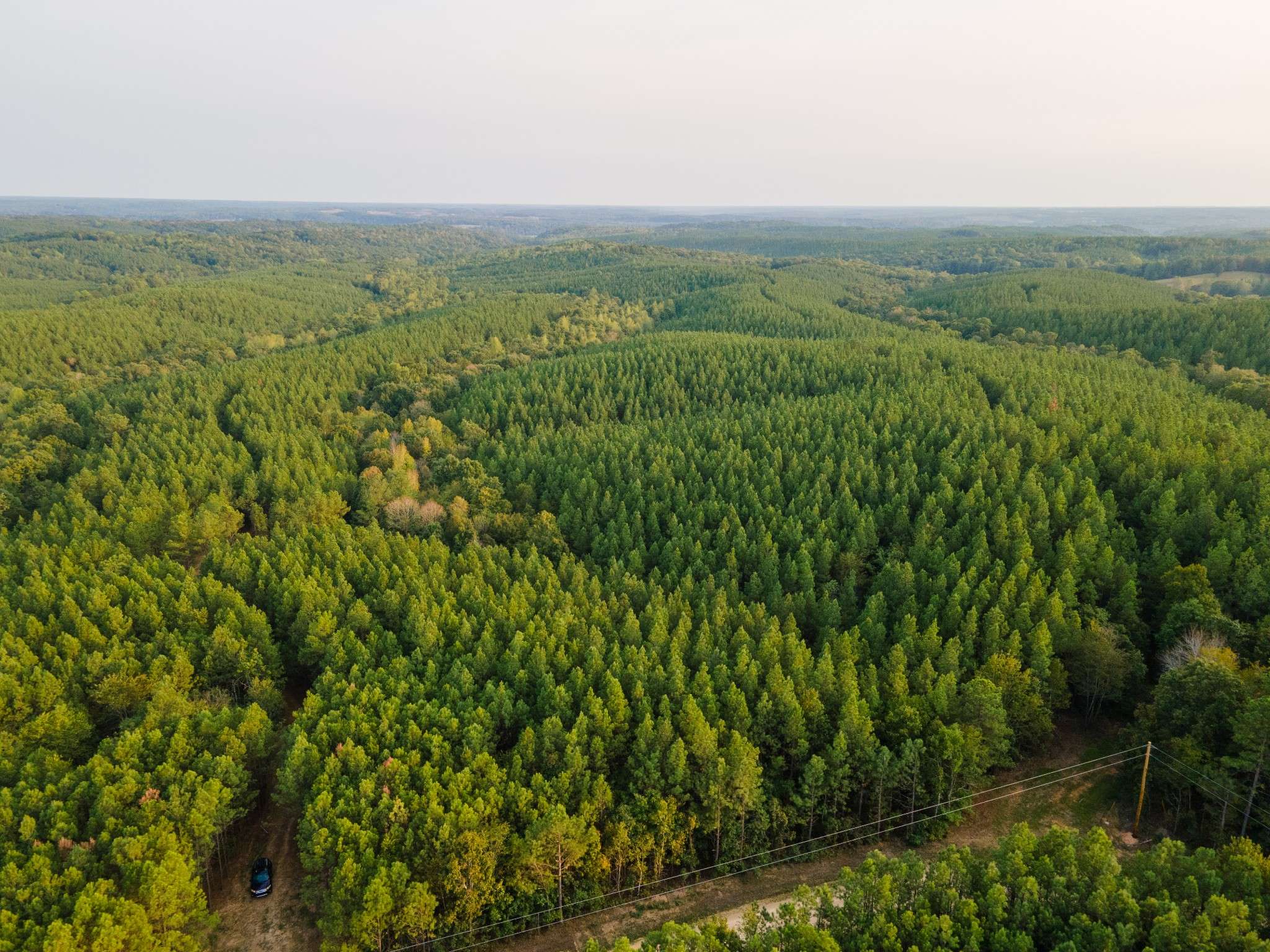 538 Seiber Ridge Road, Hohenwald, TN 38462