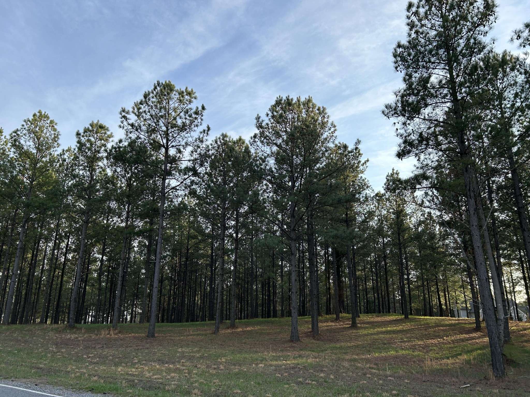 362 Cumberland Circle, Jasper, TN 37347