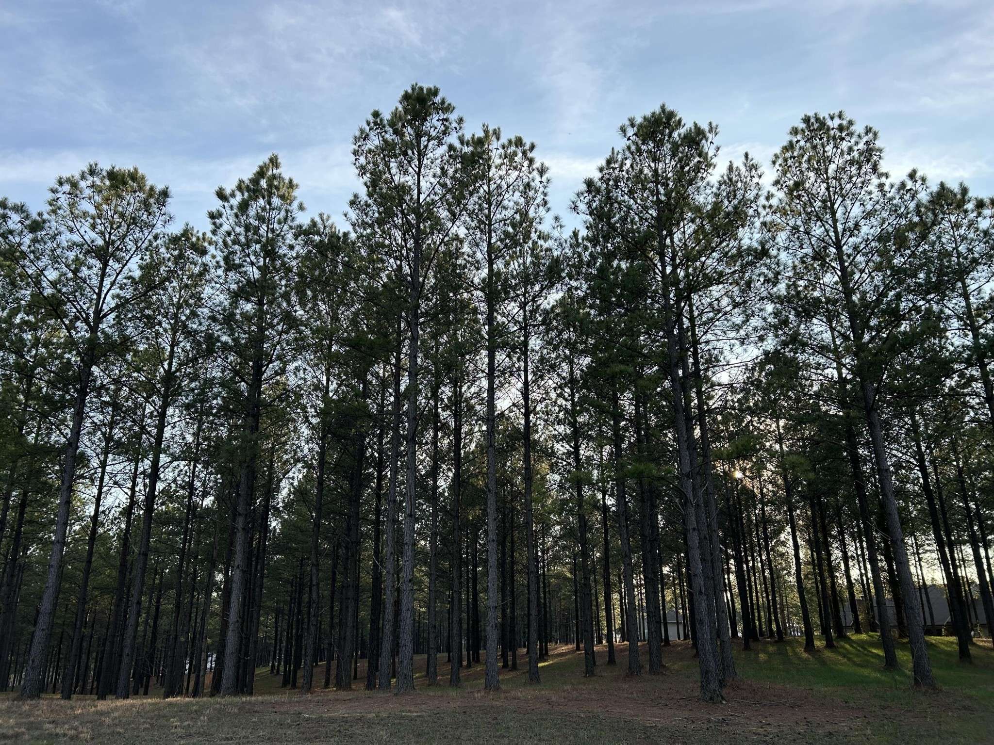 362 Cumberland Circle, Jasper, TN 37347