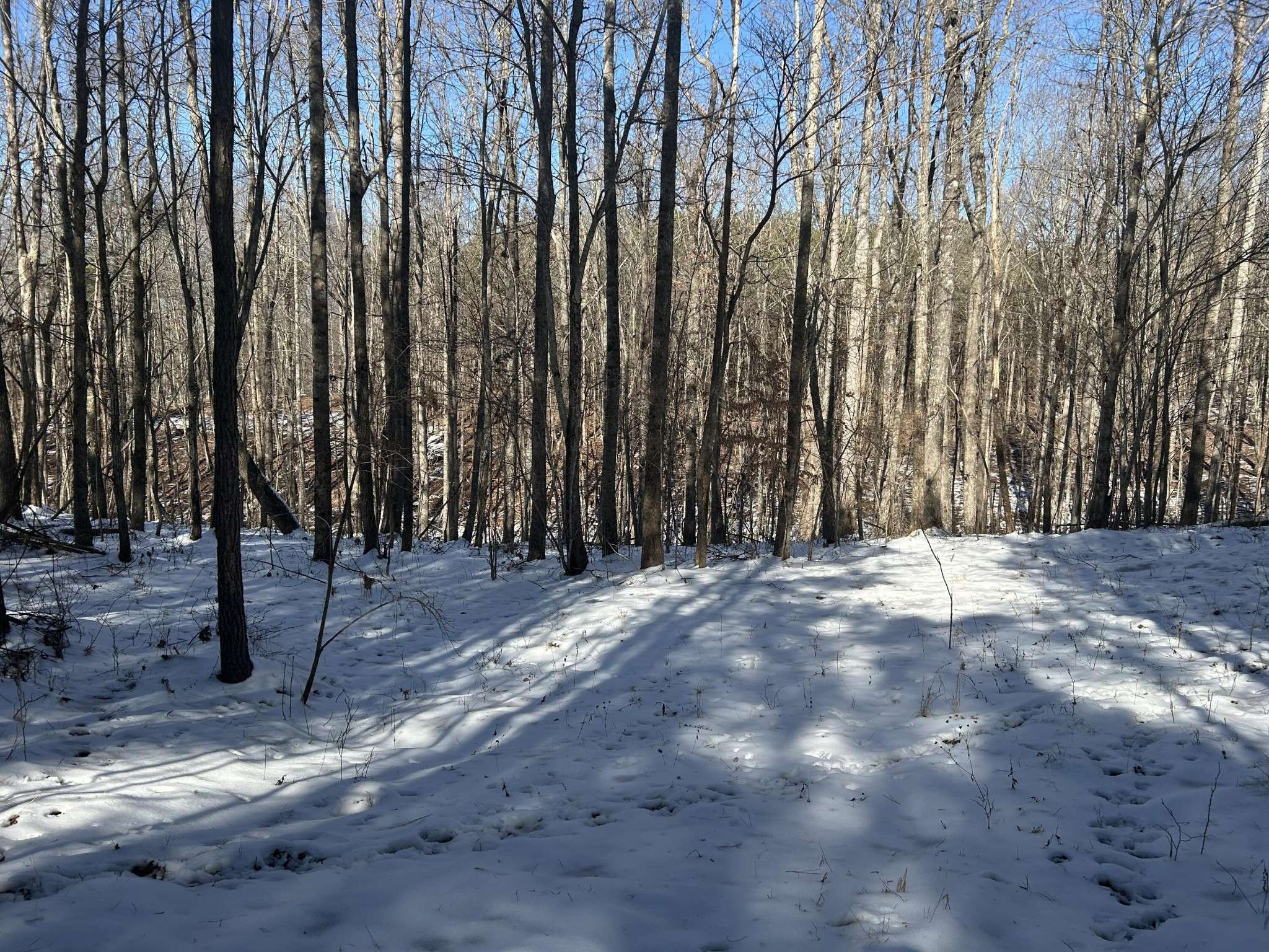 320 Waterwheel Way, Jasper, TN 37347