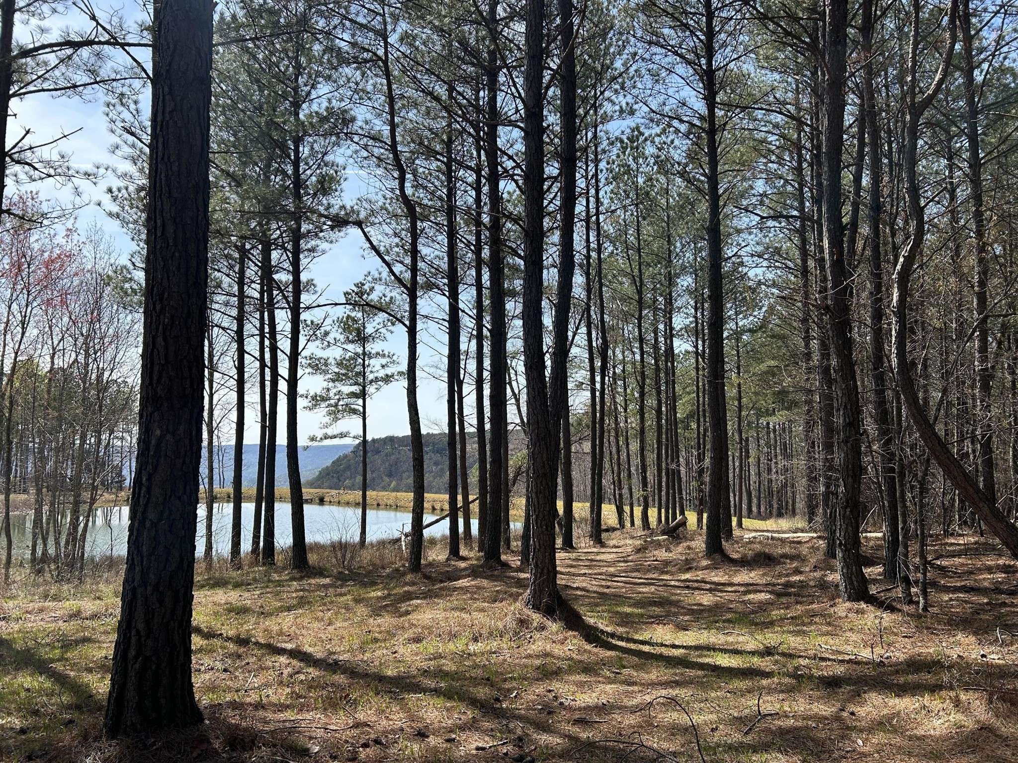 4093 Raulston Falls Road, Jasper, TN 37347