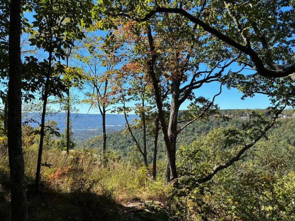 4093 Raulston Falls Road, Jasper, TN 37347