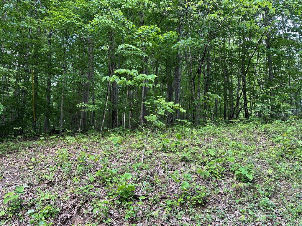 5757 Emerald Rd, Cookeville, TN 38501
