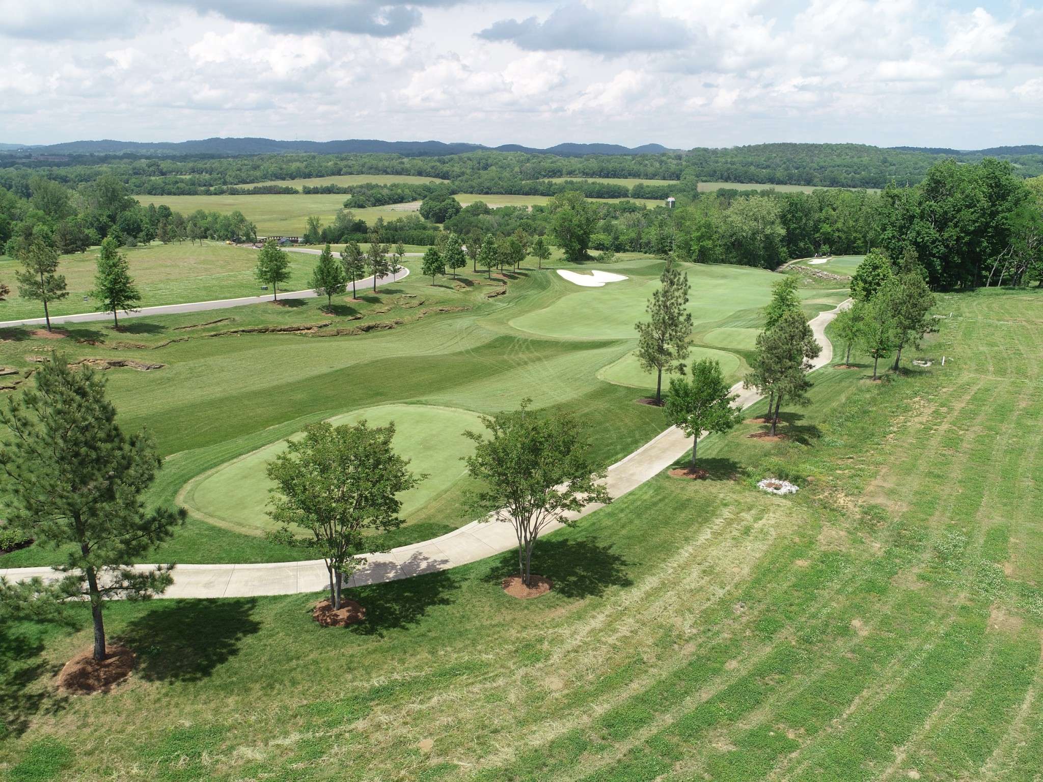 8005 George Jones Ln, College Grove, TN 37046