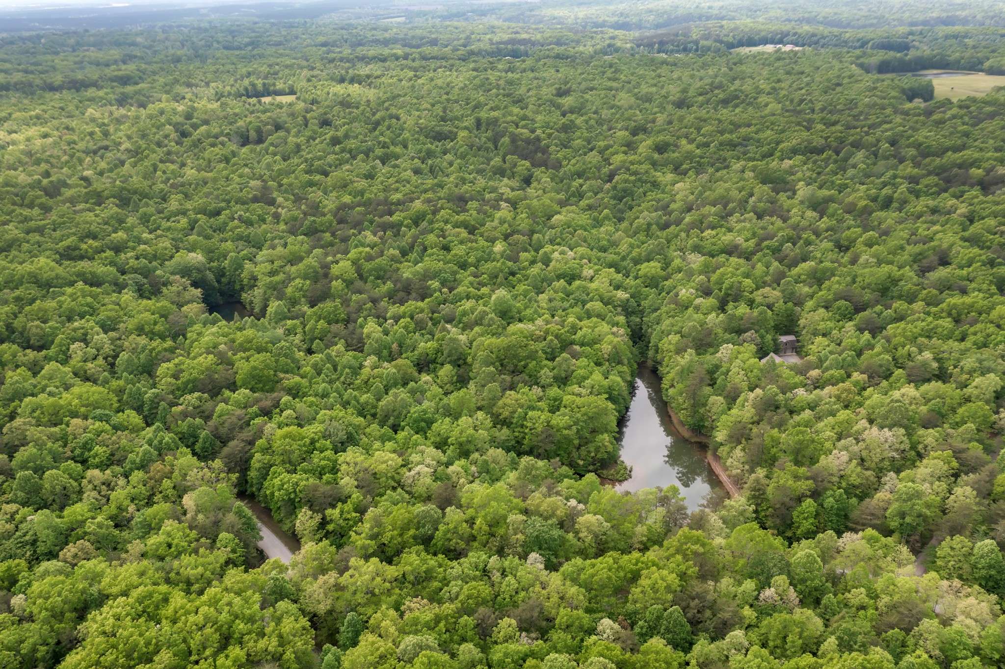 0 Savage Highland Dr, Coalmont, TN 37313