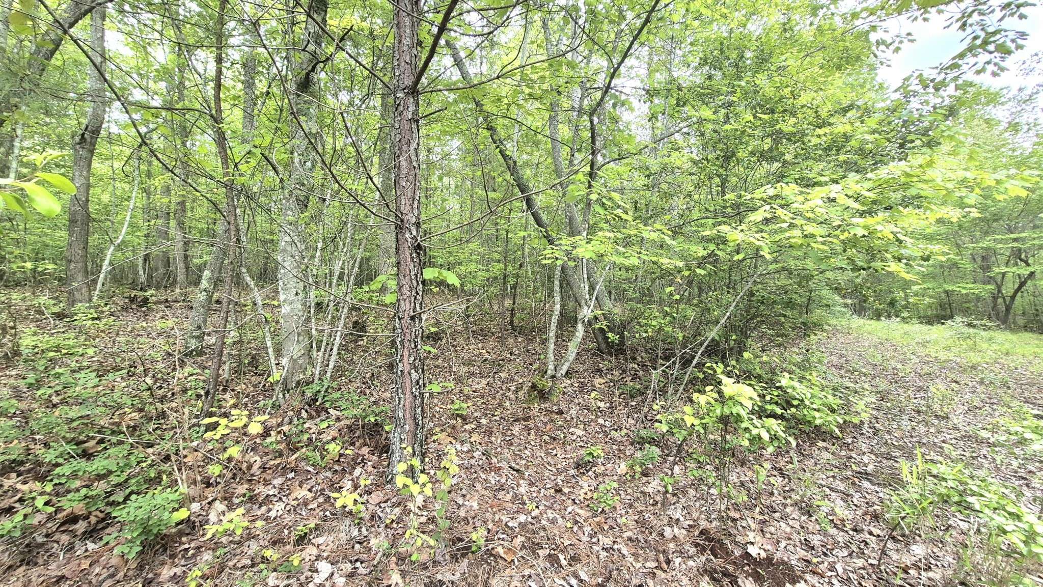6070 Raulston Falls Road, Jasper, TN 37347